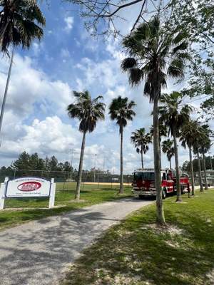 Palm Trimming | Palmetto Leaves Softball Park