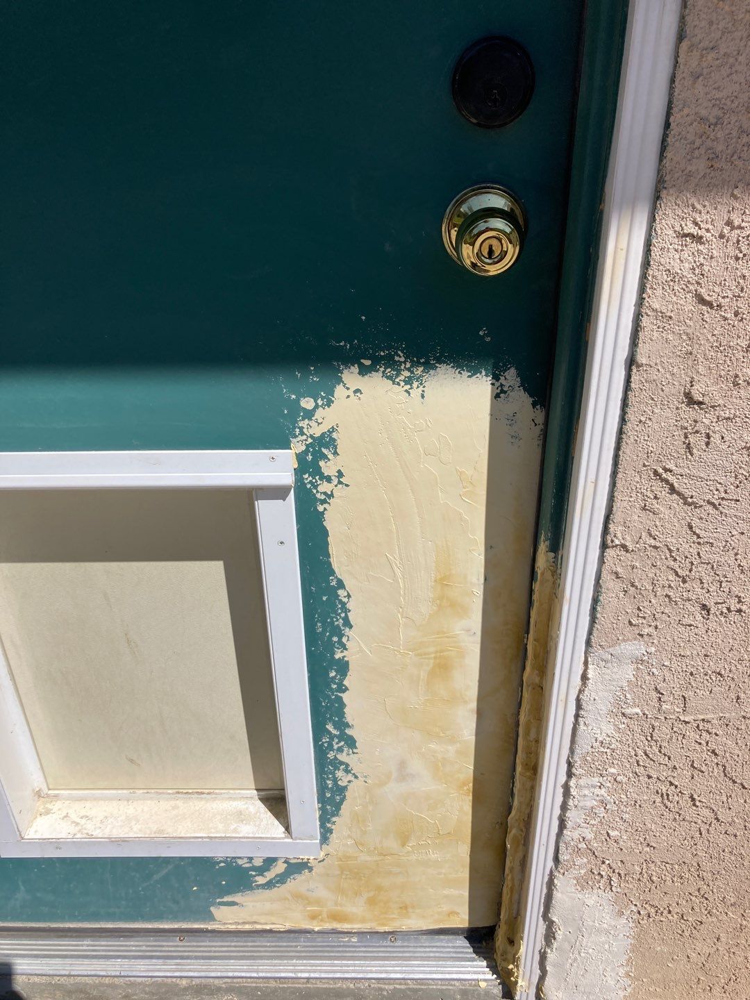 Repair Door Face by Andre Handyman