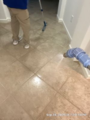 Mold Remediation — Naples, FL