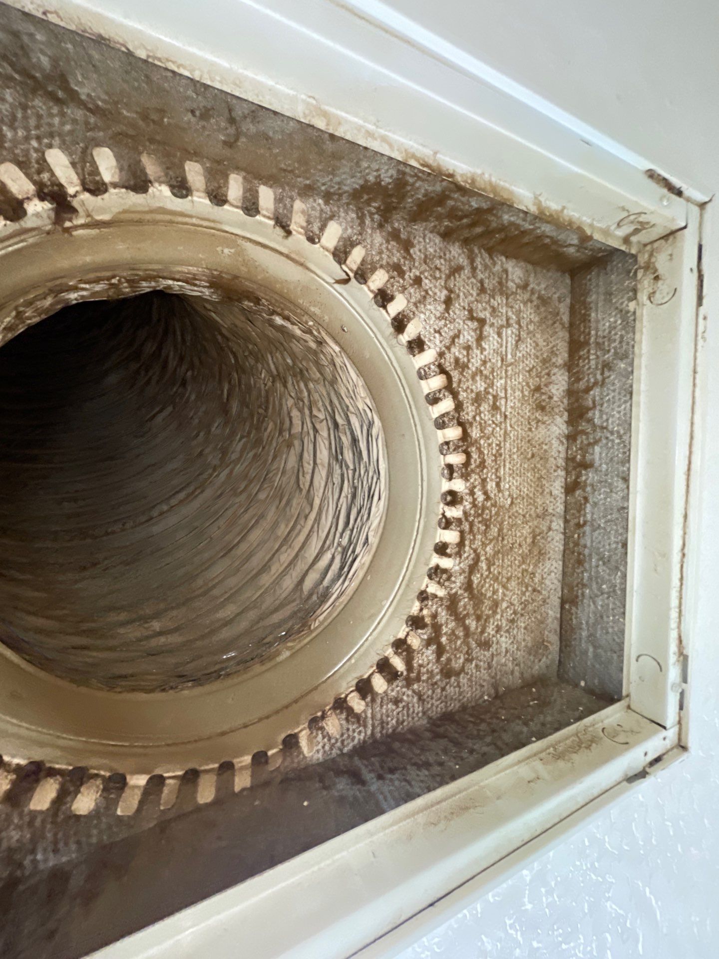 Air Duct and Dryer Vent Cleaning in Clermont by Hygienic Air, Inc
