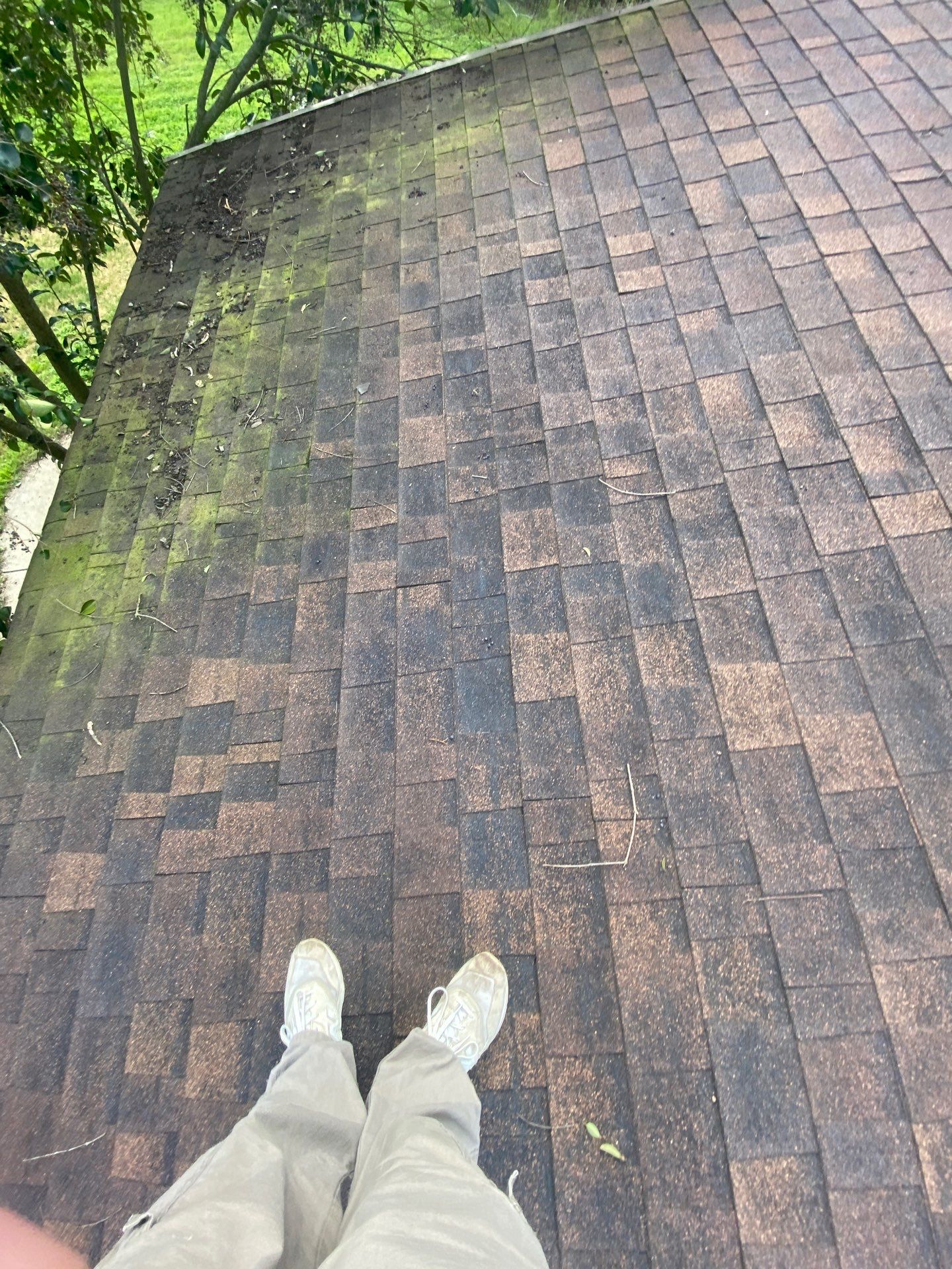 Roof Rejuvenation using Roof Maxx Treatment by Roof Maxx of Folsom