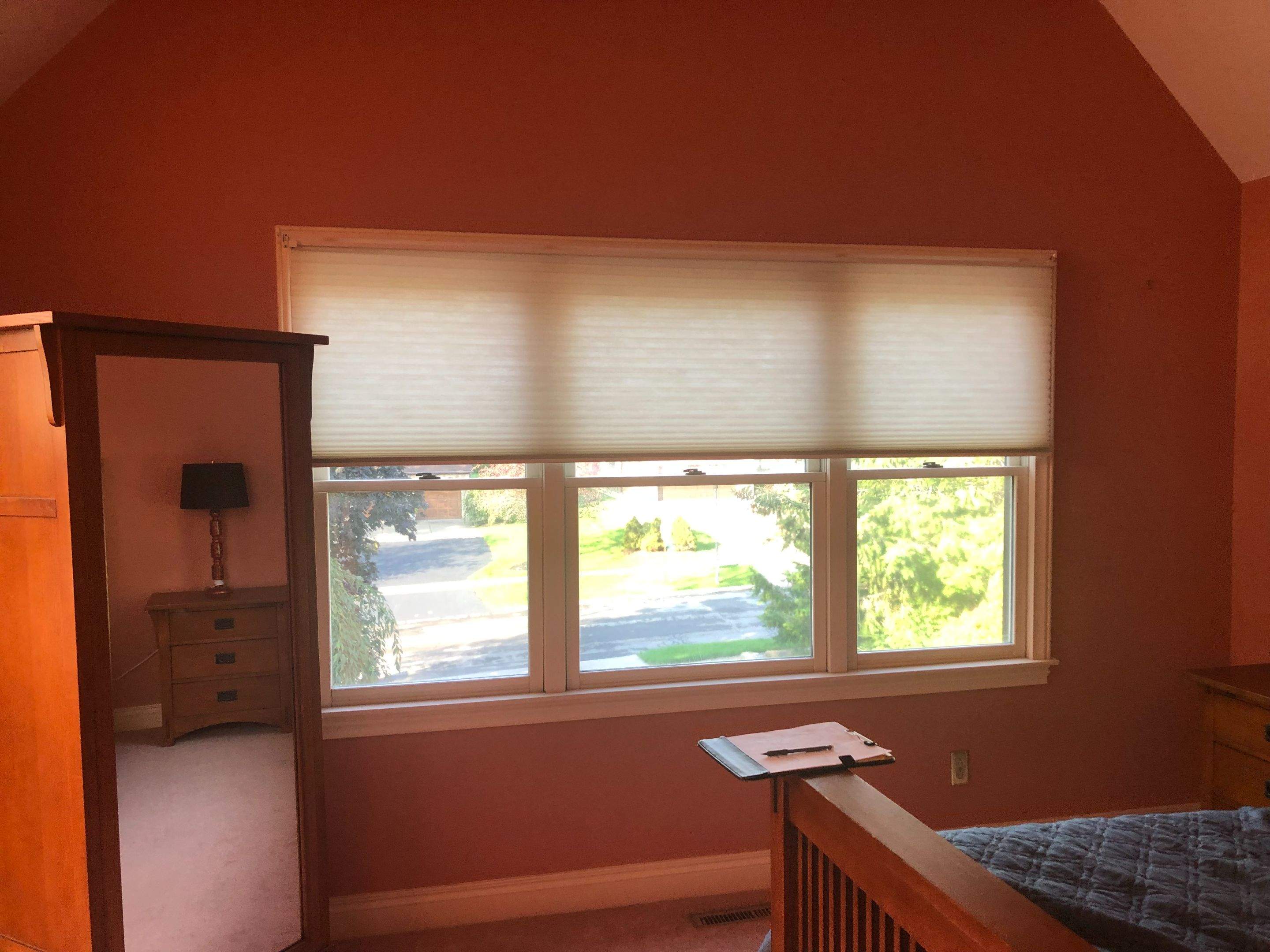 Window Replacement by Ivy Lea Construction