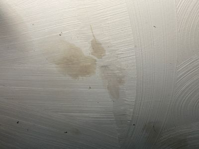 Water Damage Claim in Ormond Beach