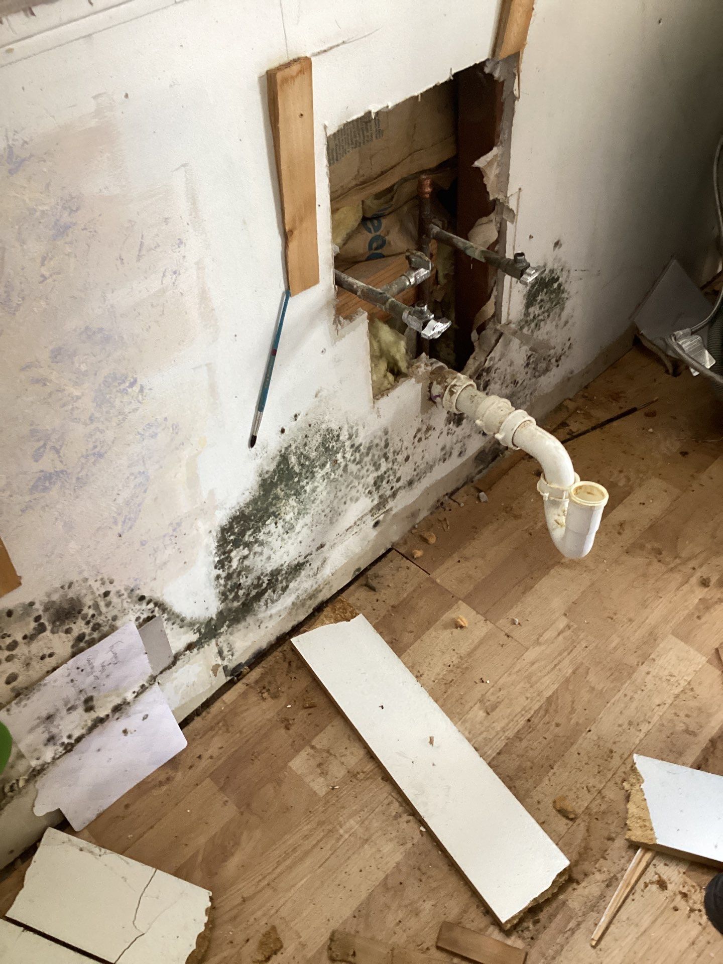 Comprehensive Mold Remediation and Kitchen Restoration in East Islip by Newhouse Restoration