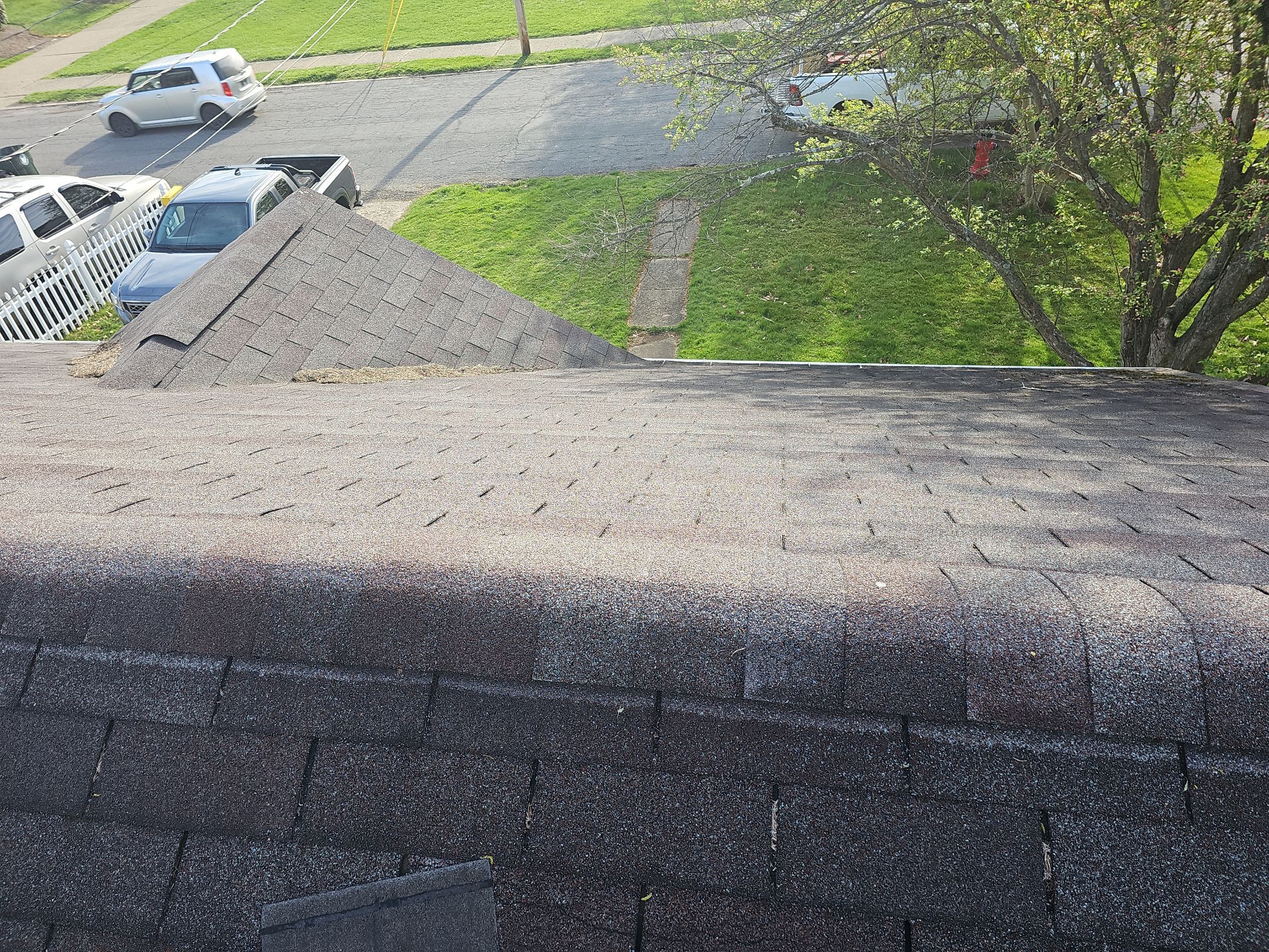 ATLAS PINNACLE COLOR: MORNING HARVEST by Eagle Eye Roofing