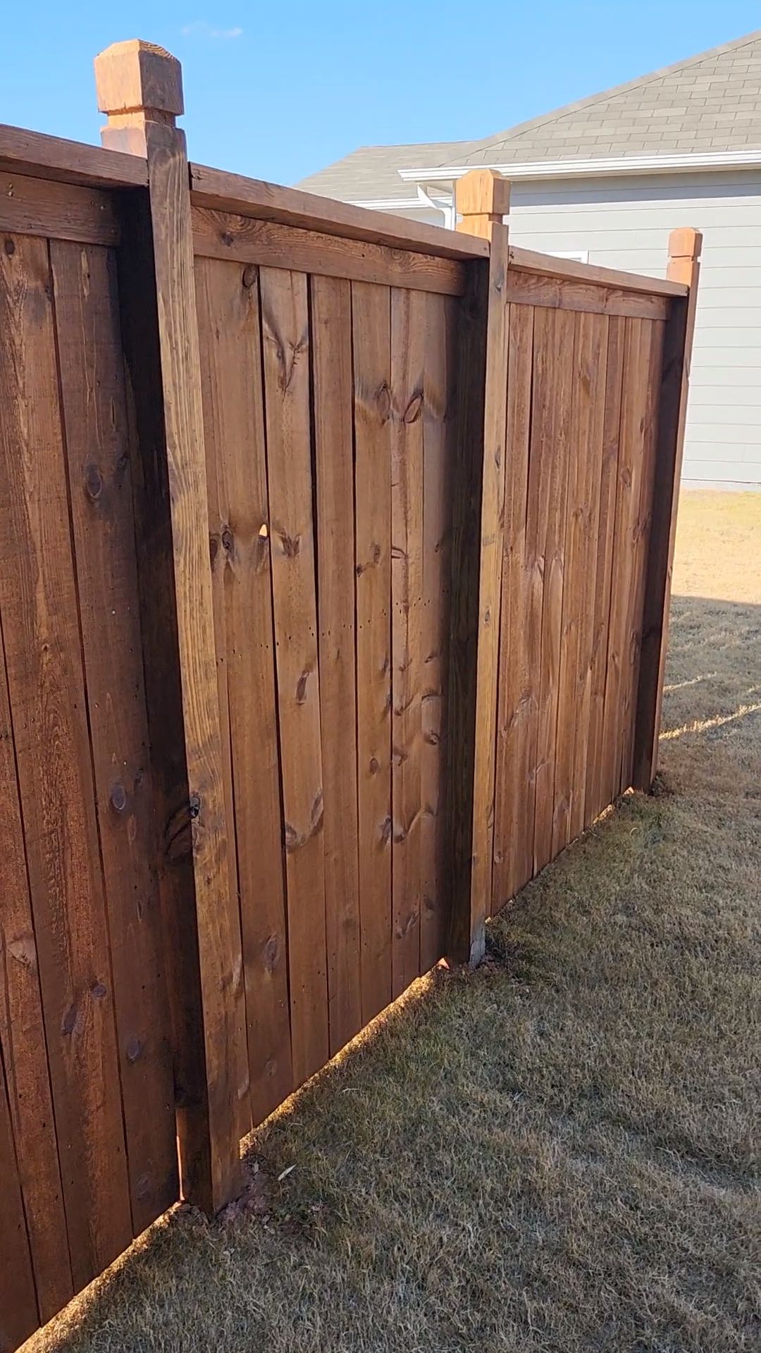 Fence Staining using Chestnut by SSE by Titans of Timber Fence & Stain