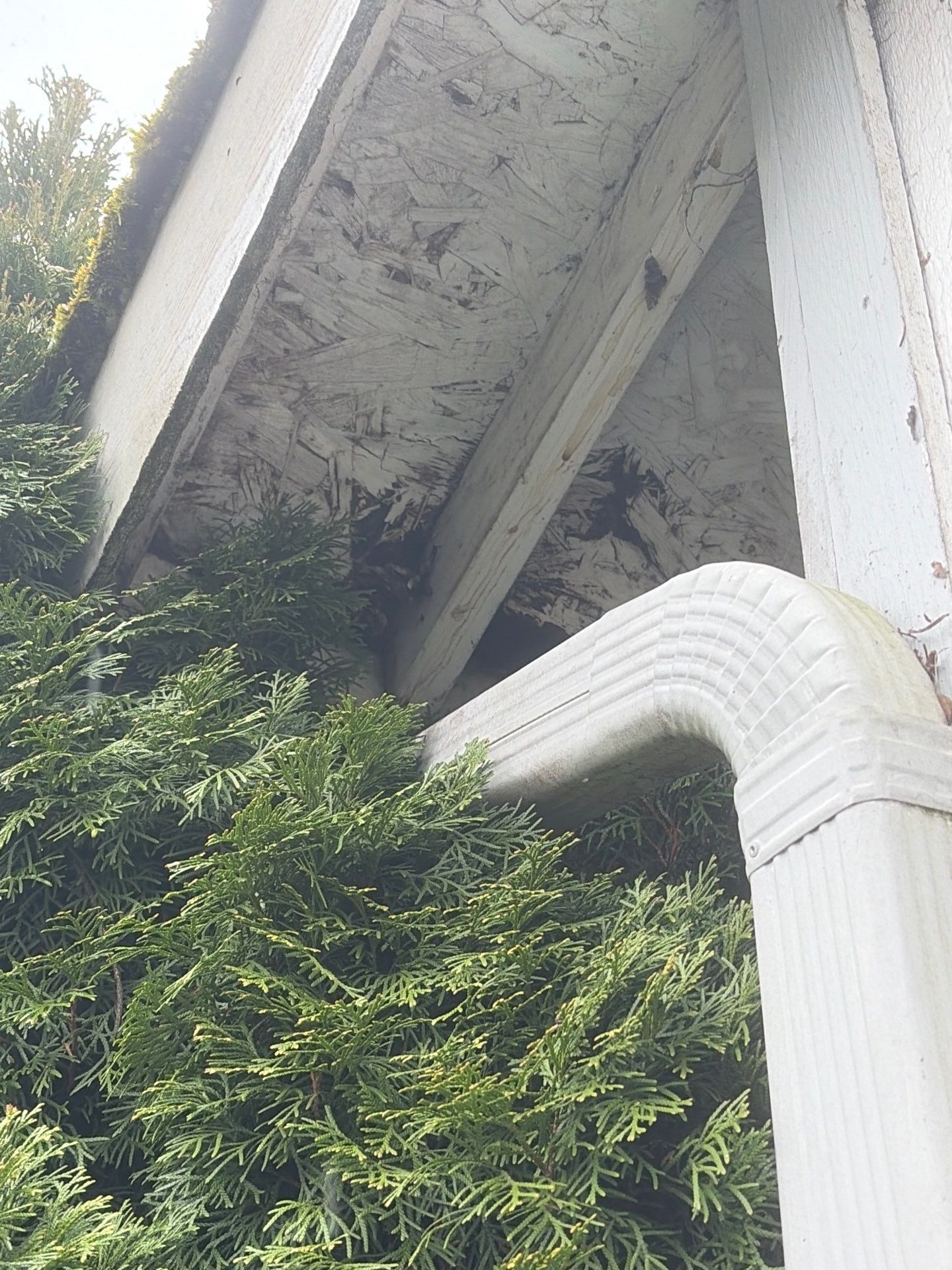 Roof in Lake Stevens by Connolly Construction Company