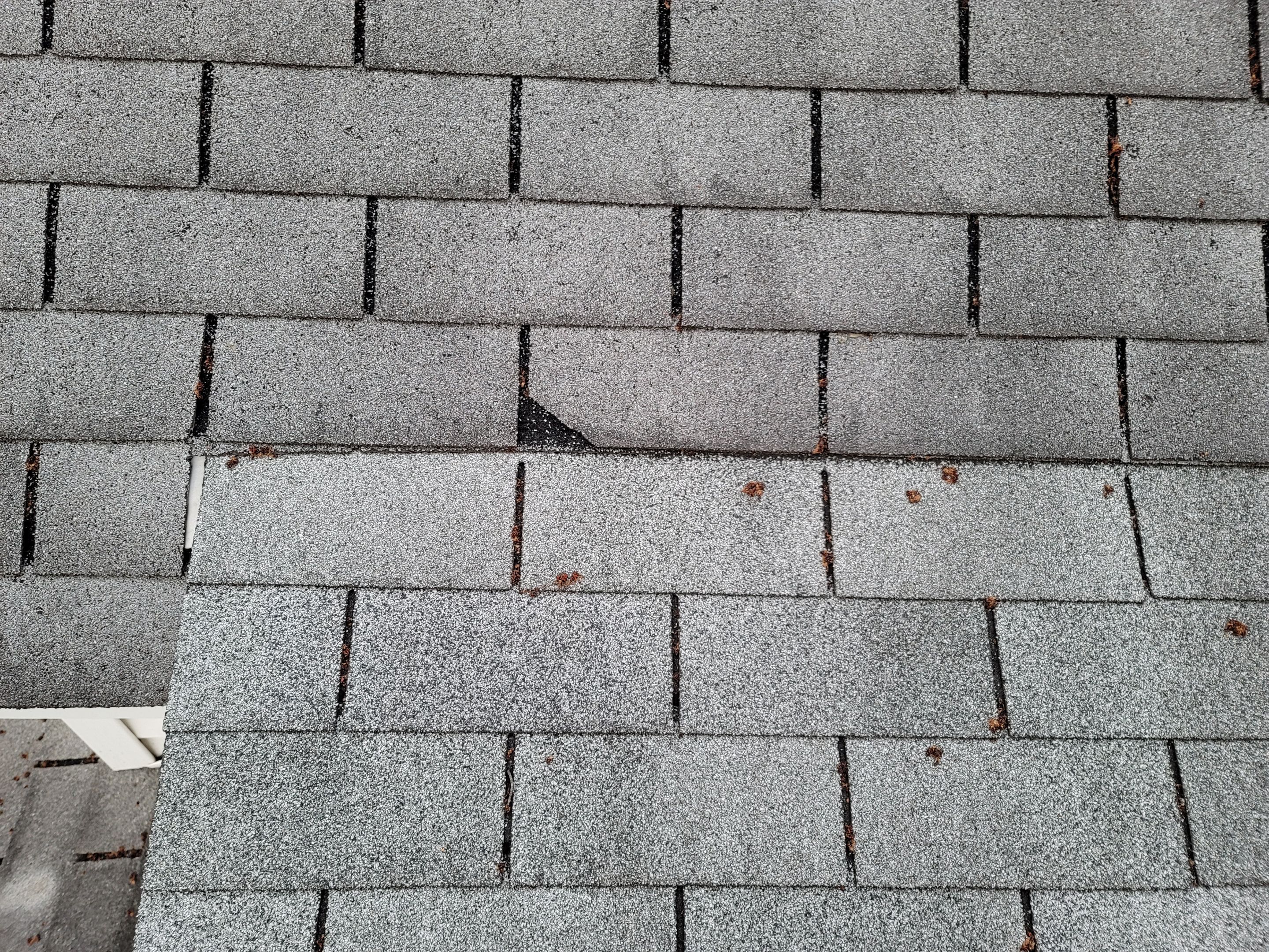 ATLAS PINNACLE SCOTCHGARD COLOR: PEWTER DRIP EDGE: BLACK by Eagle Eye Roofing