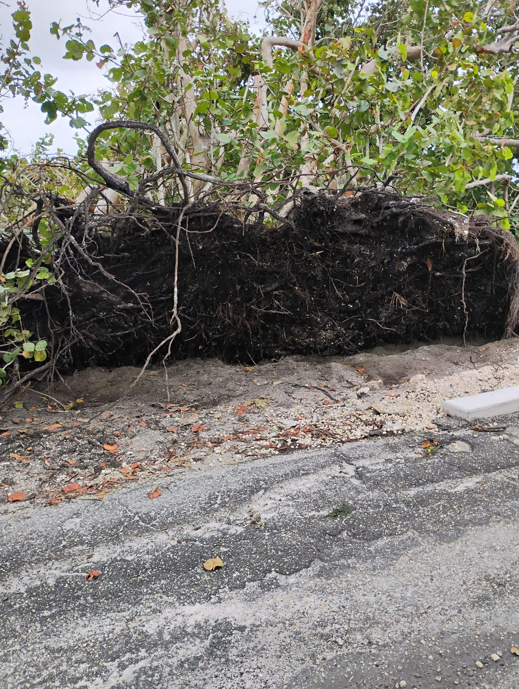 Flood Damage Claim in Holmes Beach by FLAPA & KeyStone