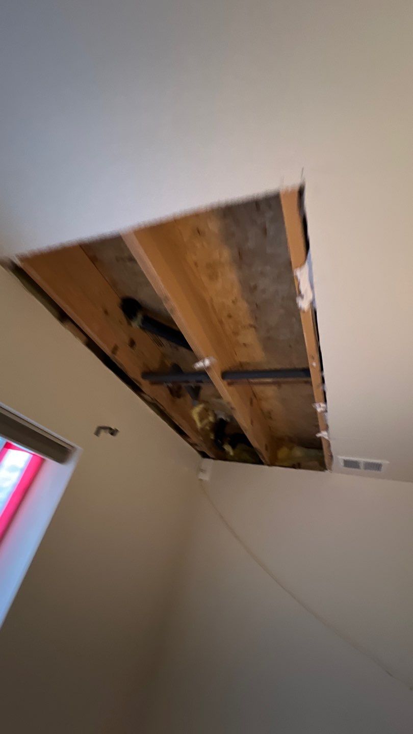 Water Damage and Mold Remediation by Accountable Home Services