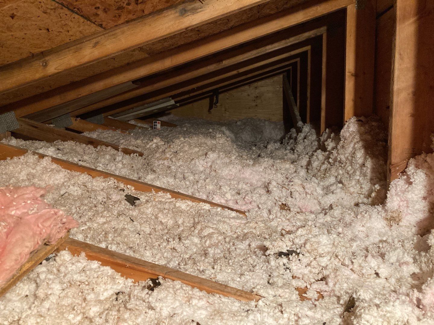 Mold Remediation in Attic by Accountable Home Services