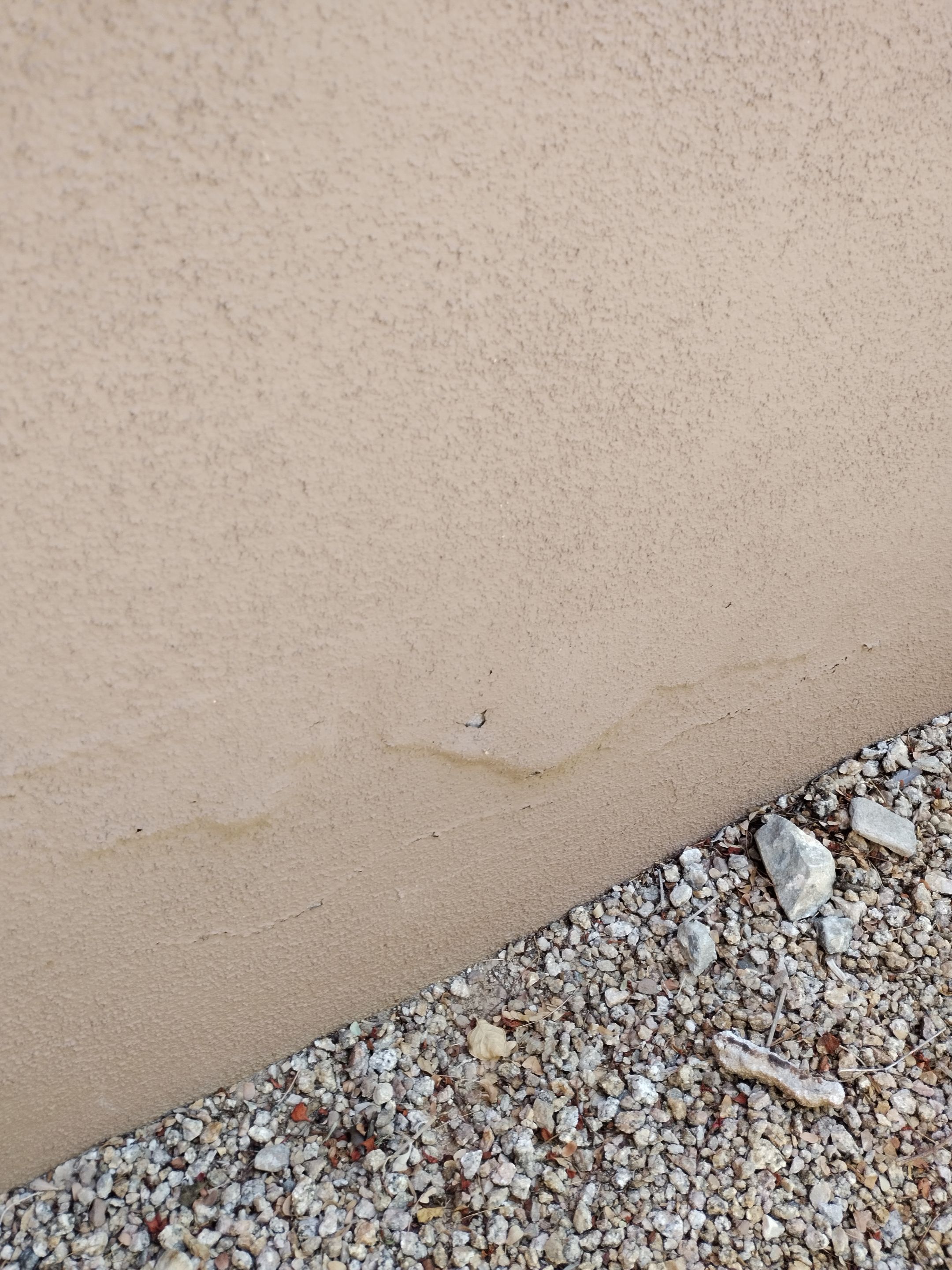 Exterior Painting & Garage Floor Coating - Scottsdale by Crash of Rhinos Painting & Garage Floors