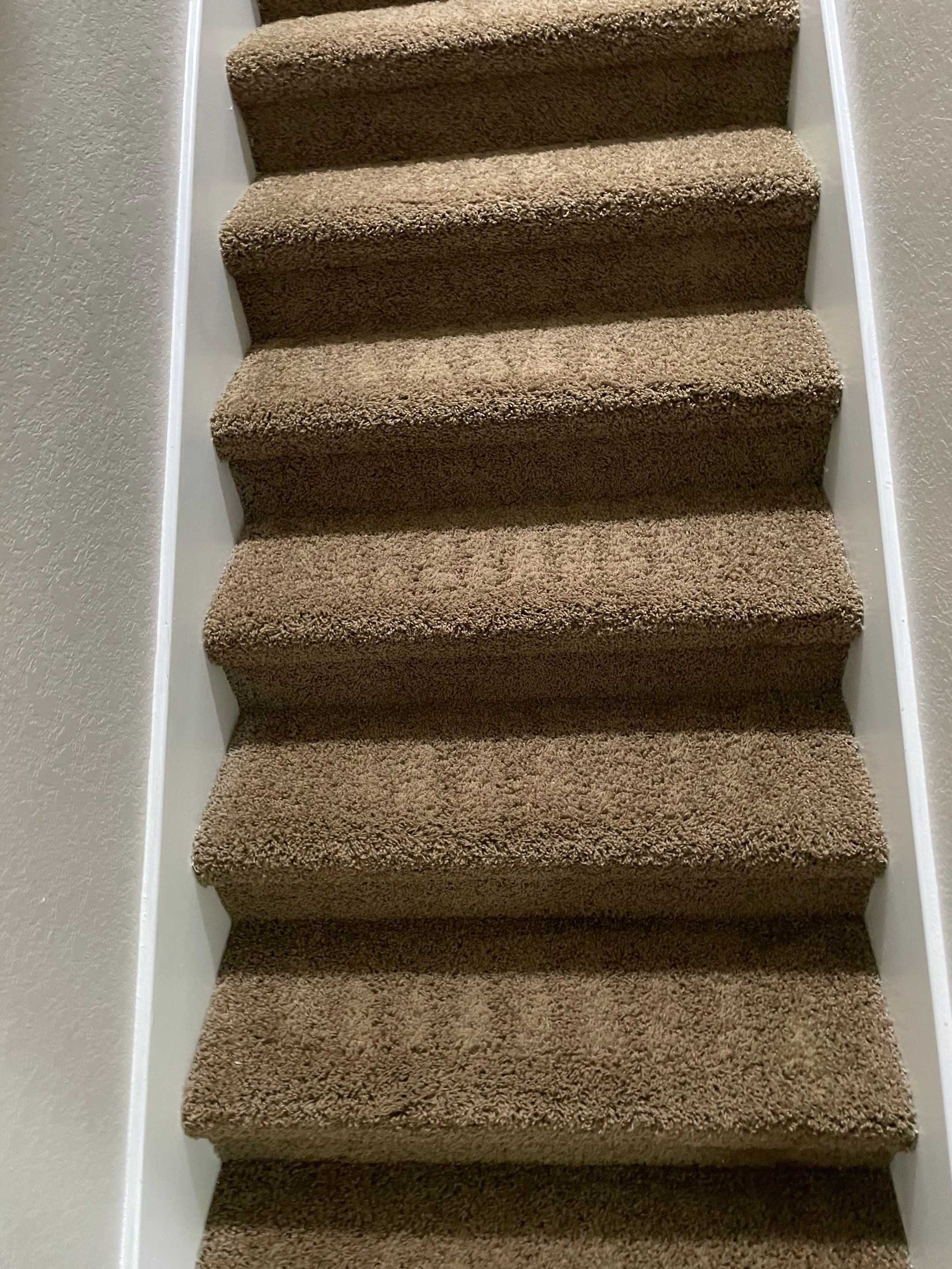 a carpet cleaning company is cleaning carpeted stairs in a home in san antonio