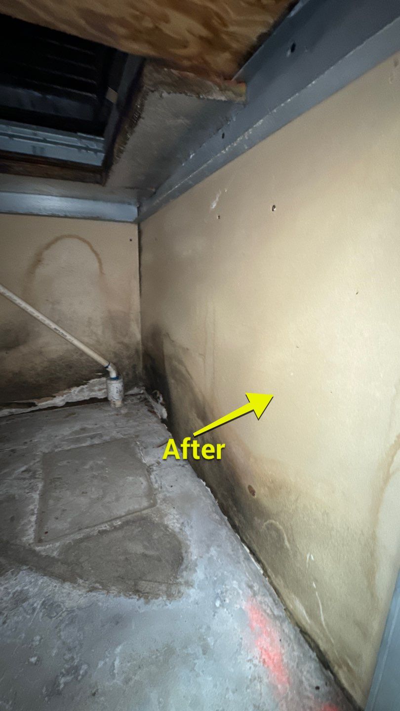 Commercial Air Duct Cleaning in Tavares by Hygienic Air, Inc