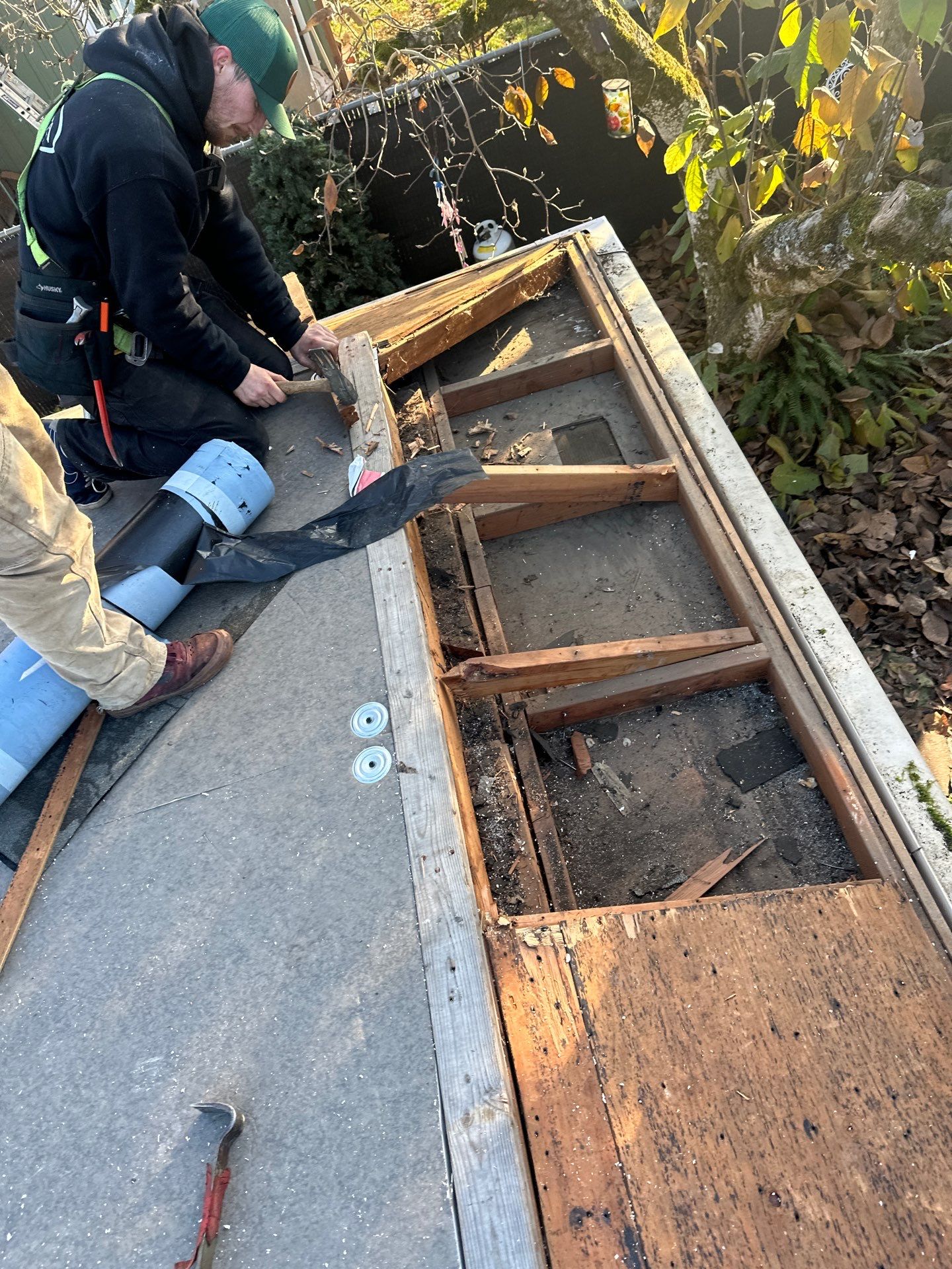 Residential Roofing Installation using IKO Dynasty (Color: Driftshake) by Orezona Building & Roofing Company, Inc.