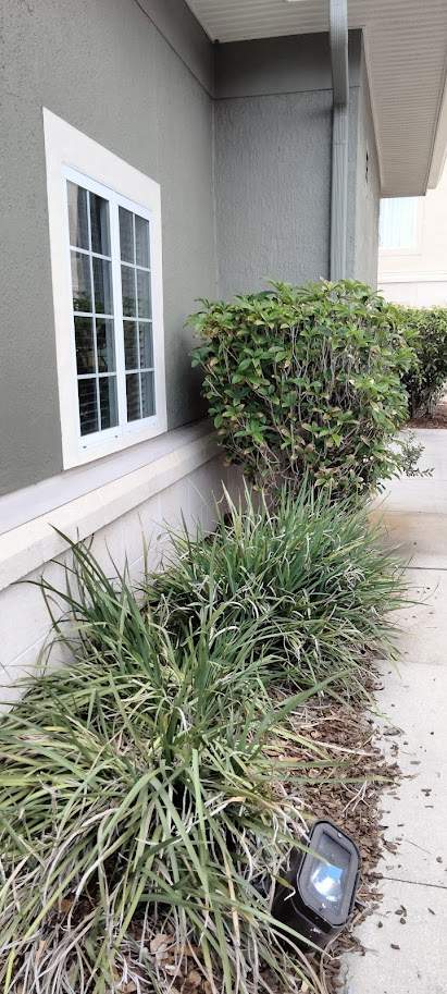 Homewood Suites | Tree Service by ProGreen Services