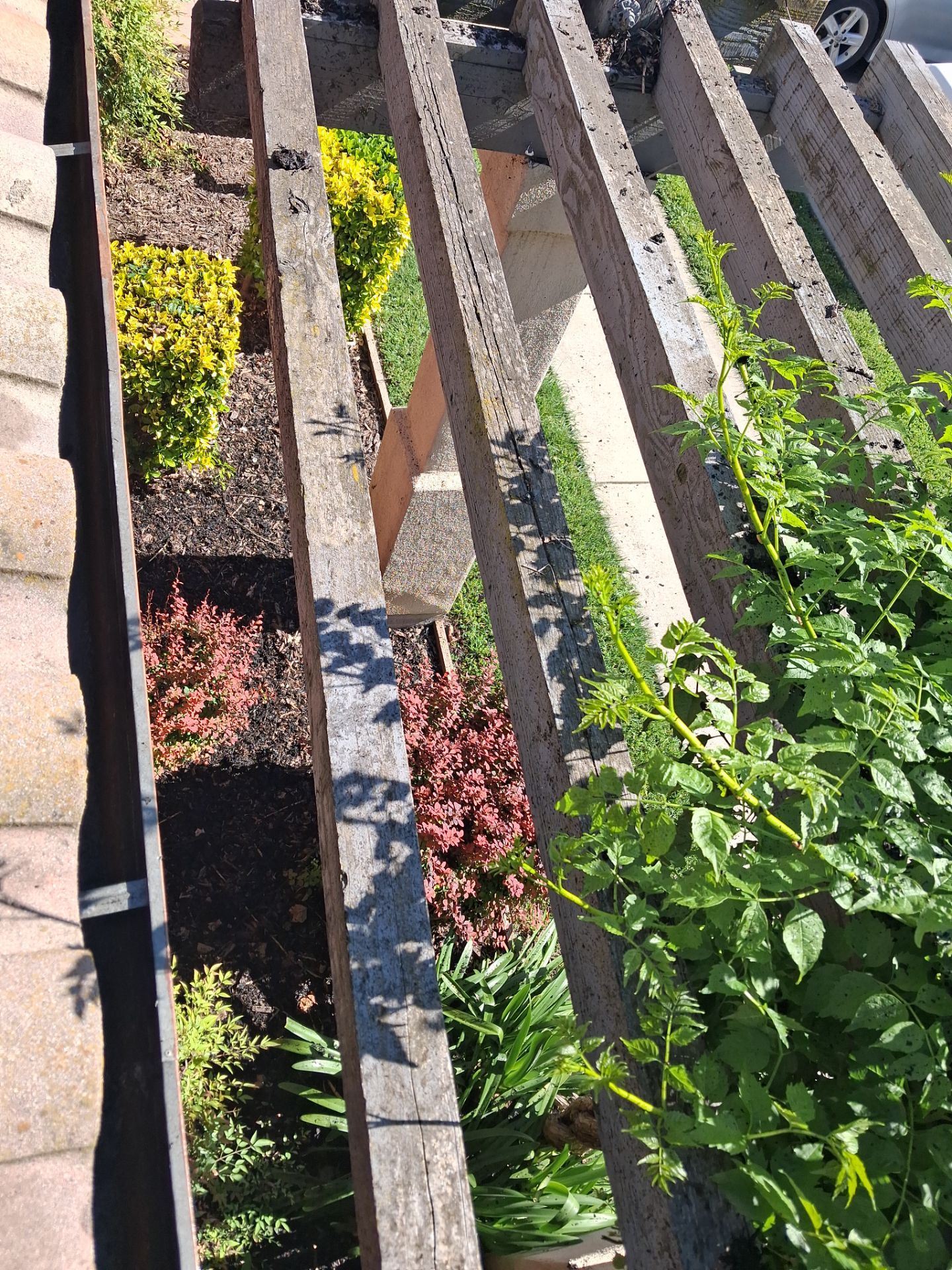 Commercial gutter cleaning Stockton, CA after photo with clean gutters