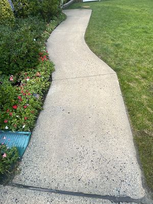 House Wash, Roof Refresh sections & Concrete Cleaning