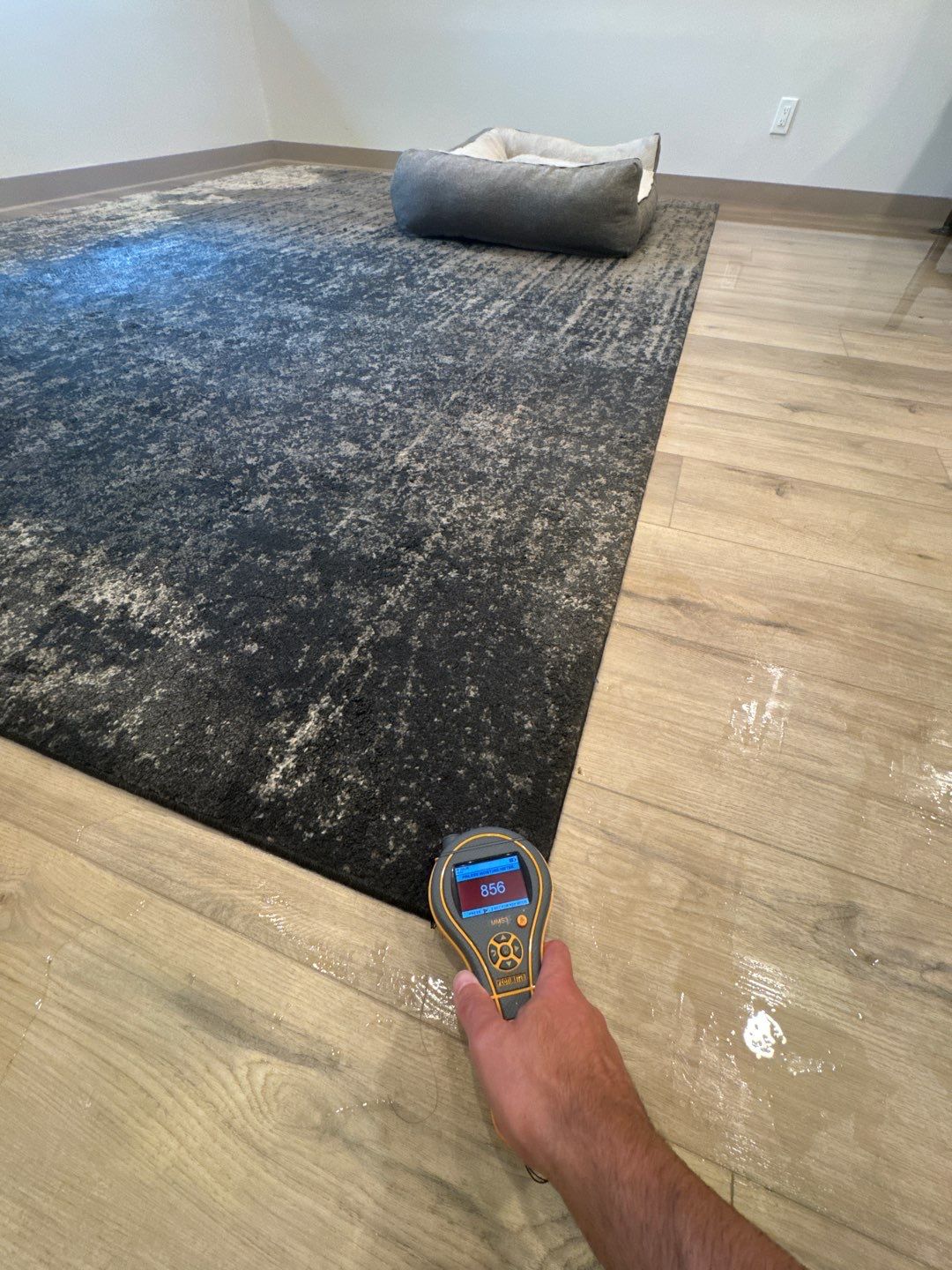 Project in Farmington by EzDry Water Mitigation & Property Restoration