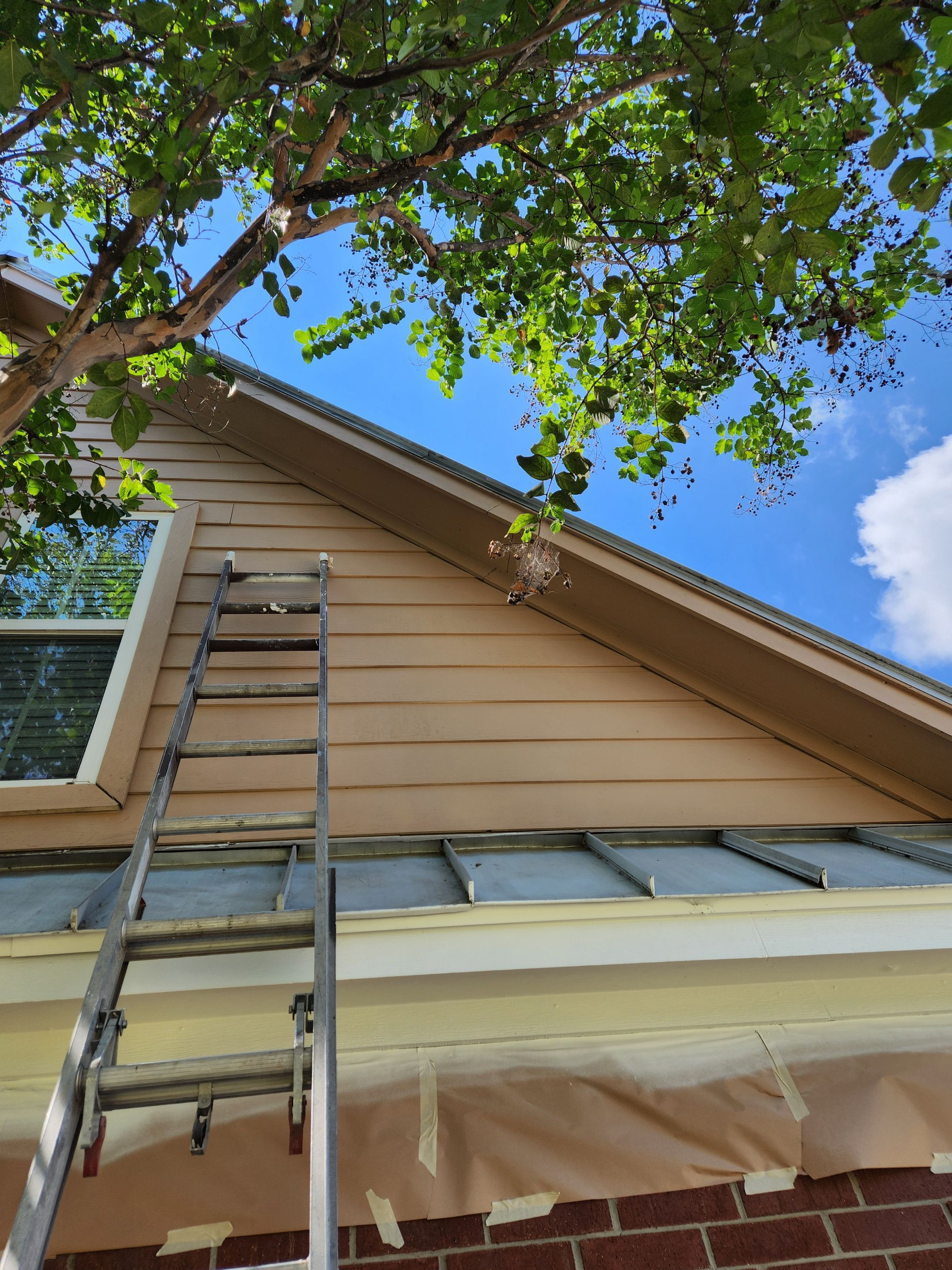 Complete Exterior Siding & Painting by HTR&C