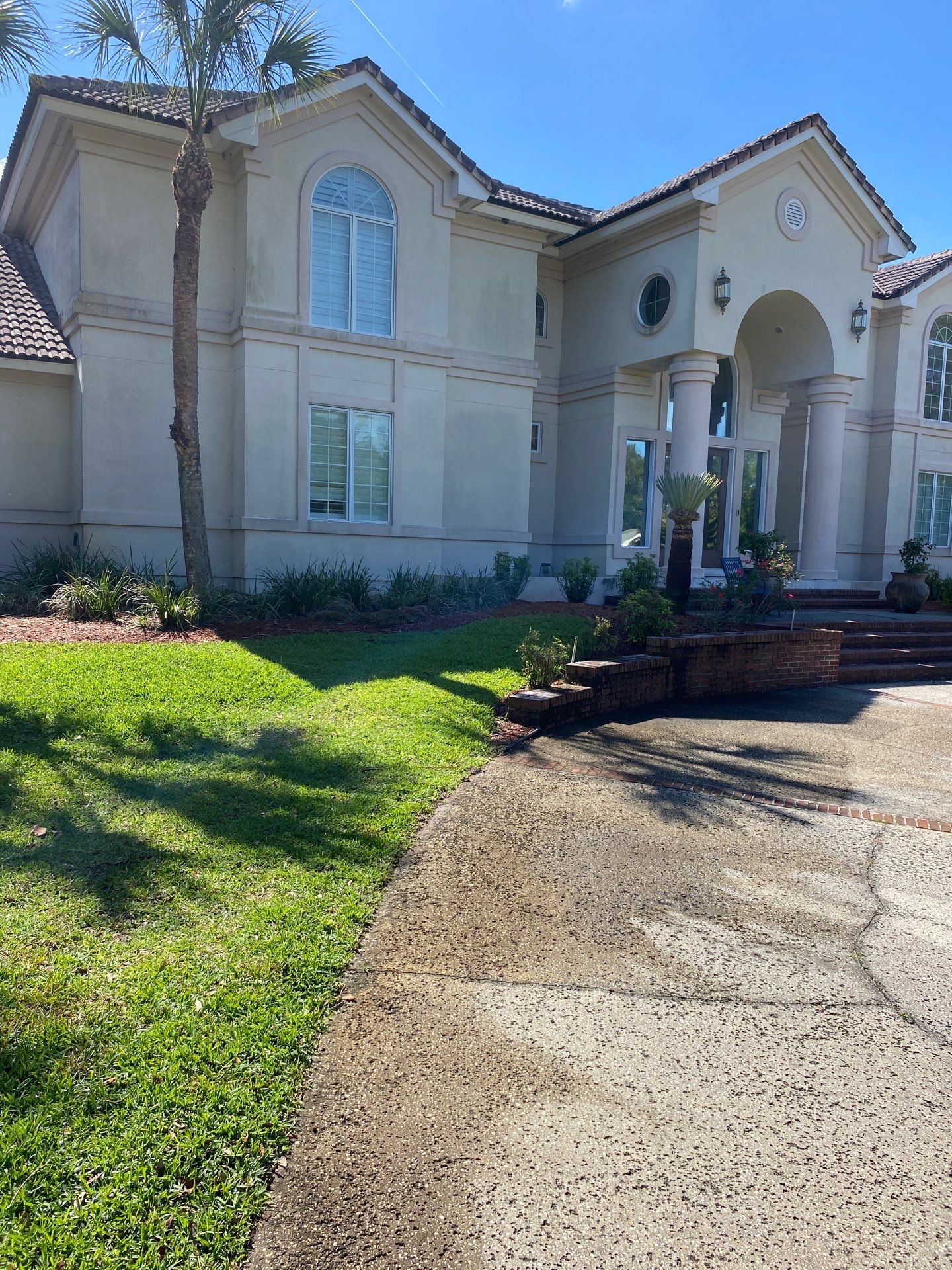 Deerwood Resident | Palm Tree Trimming & Clean-Up by ProGreen Services