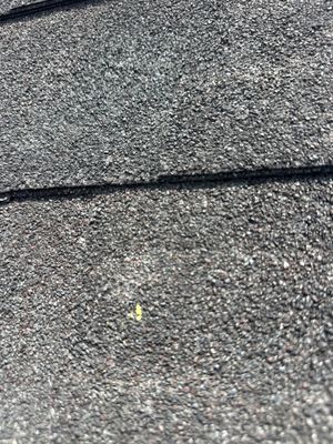 Project in Houston