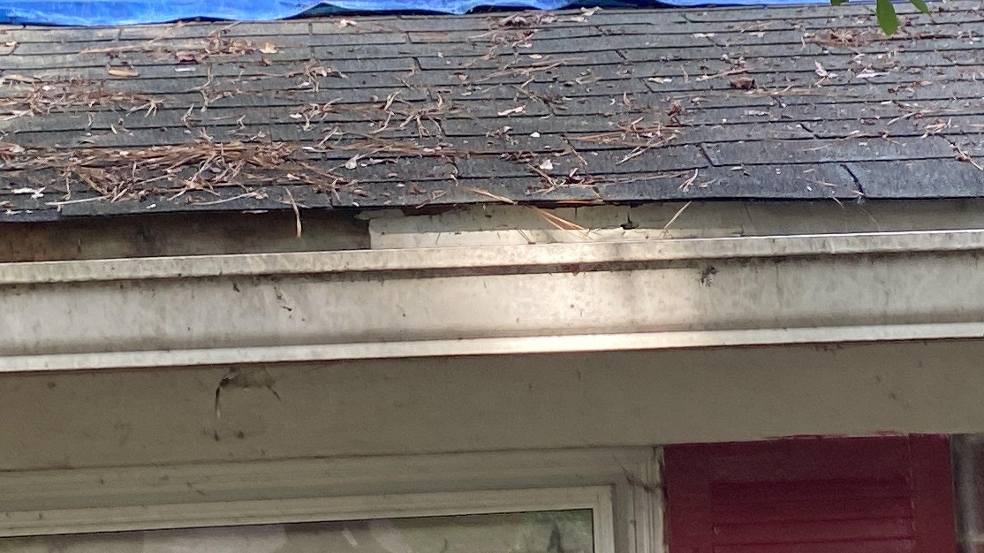 Roof rescue! ๐ก by Georgia Roof Advisors