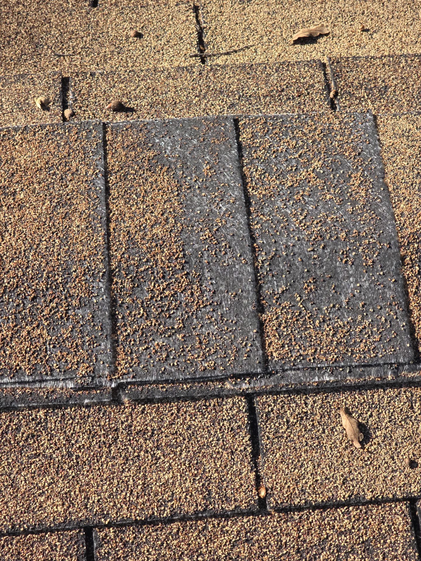 Roof Rejuvenation using Roof Maxx Treatment by Roof Maxx of Folsom