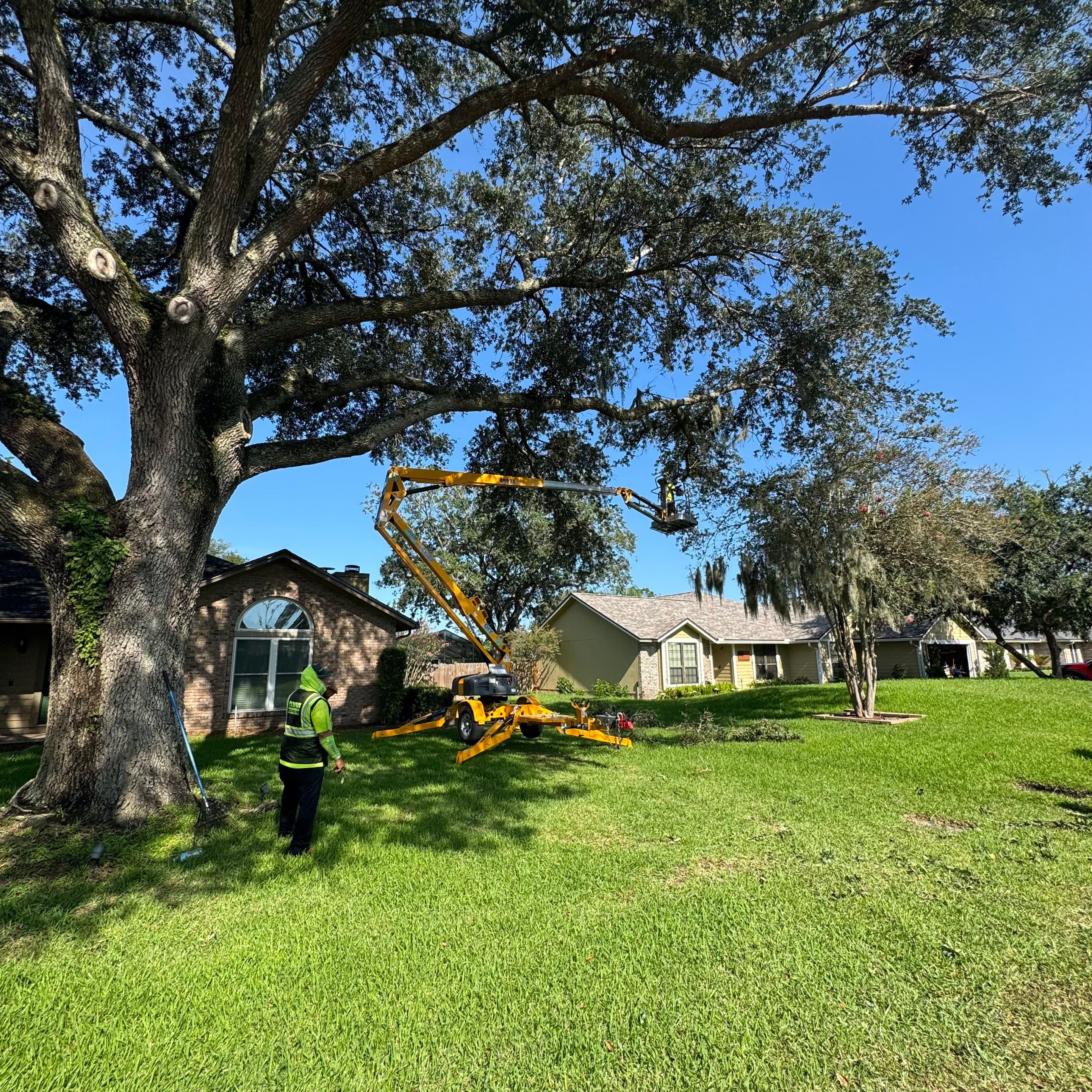 Residential | Tree Trimming  by ProGreen Services