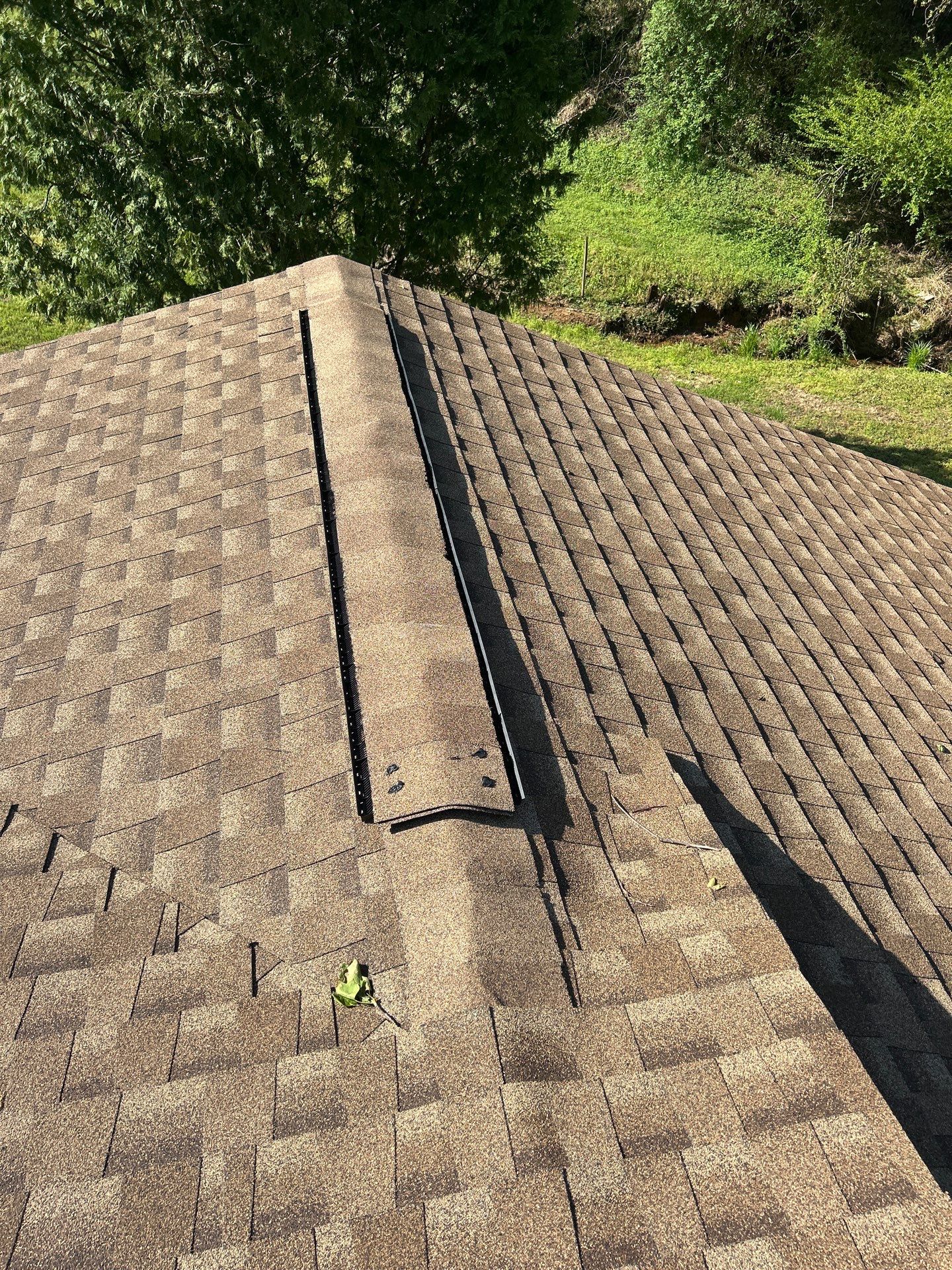 Project in Walhalla by Roofsters