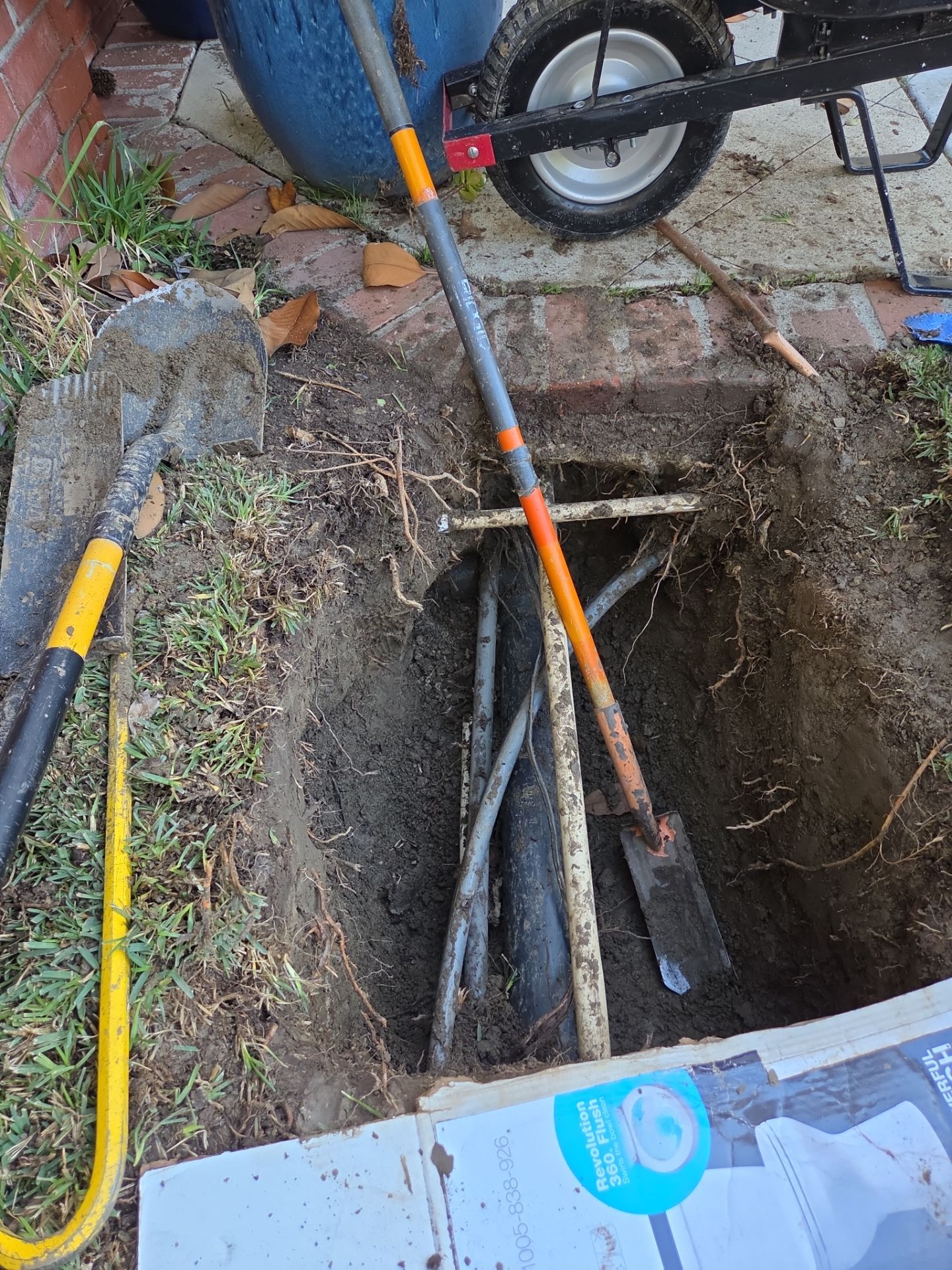 Area Drain Root Intrusion by Professional Plumbing Inc 