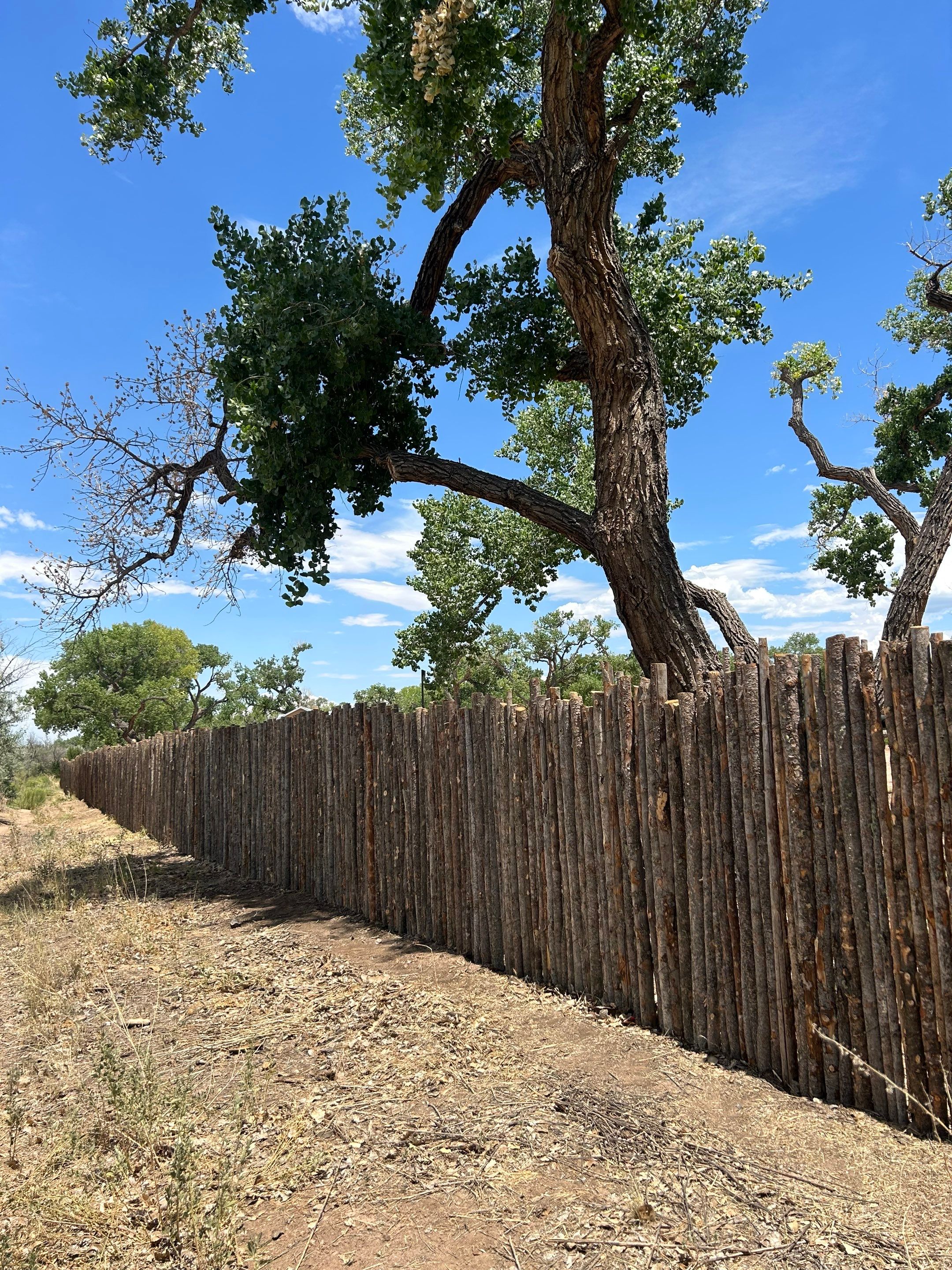 Residential using Latilla by Valley Fence Company