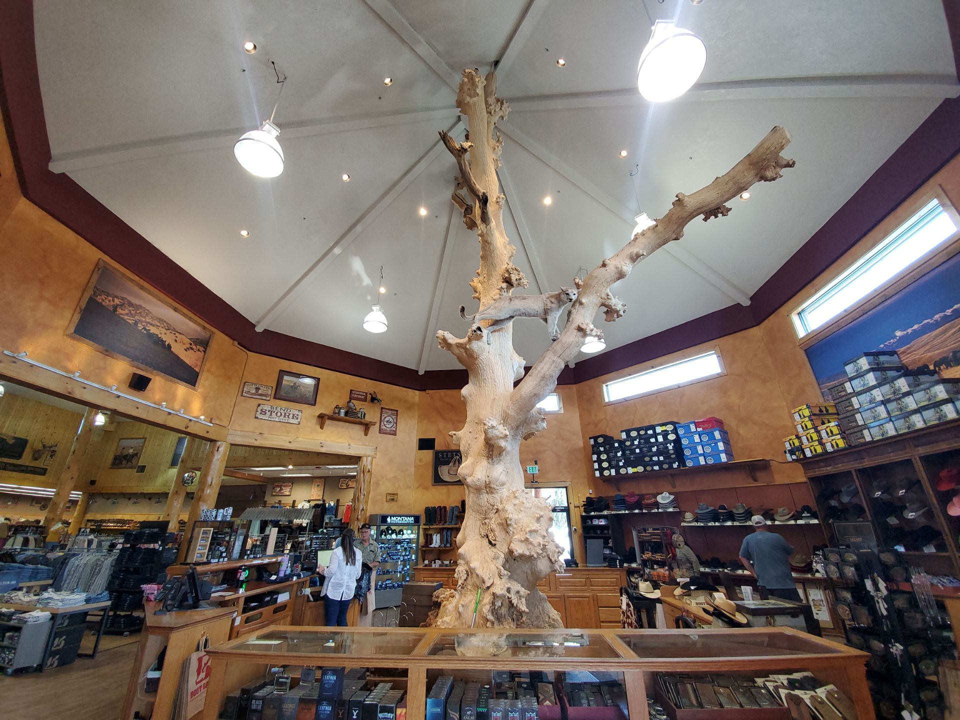 Boot Barn 0089 Bend  OR by Solis