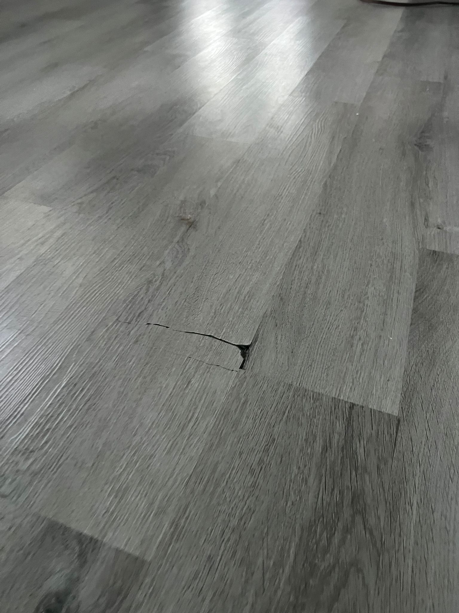 Water Damage Claim in Tampa by FLAPA & KeyStone