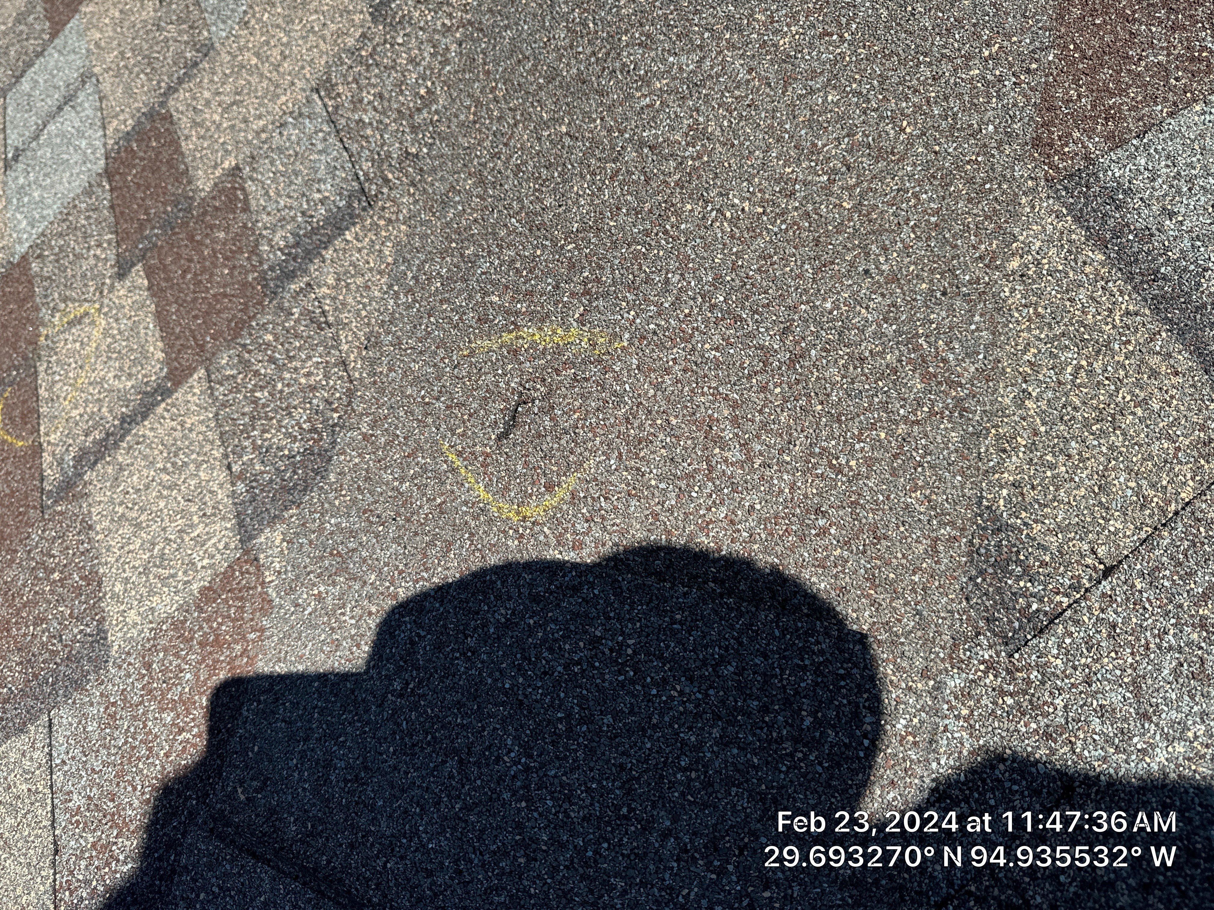 Hail Damage by Southern Belle