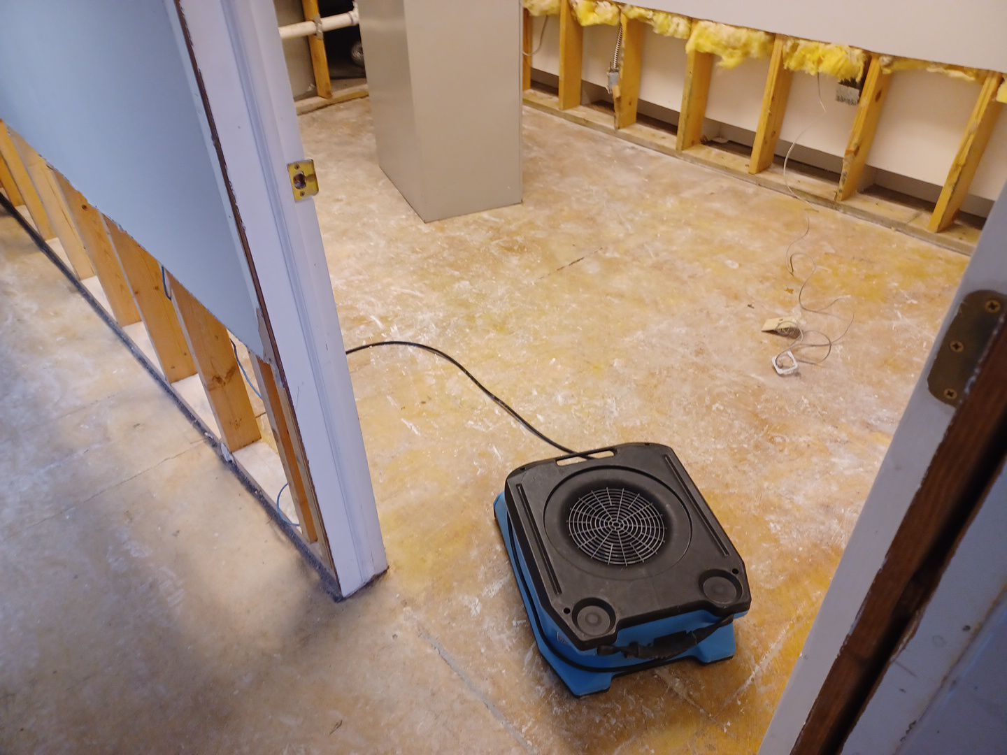 Project in Commerce Twp by EzDry Water Mitigation & Property Restoration