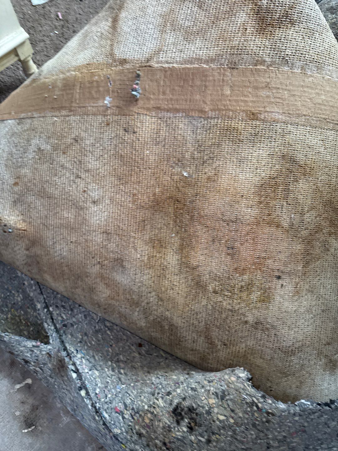 Mold Remediation Project by Chicagoland Water Medics