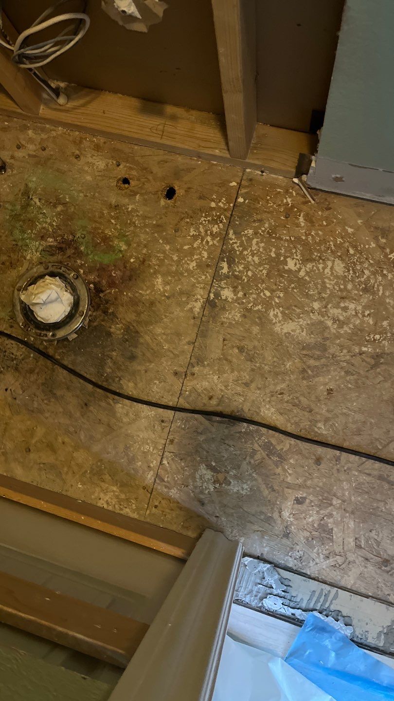 Mold Remediation by Accountable Home Services