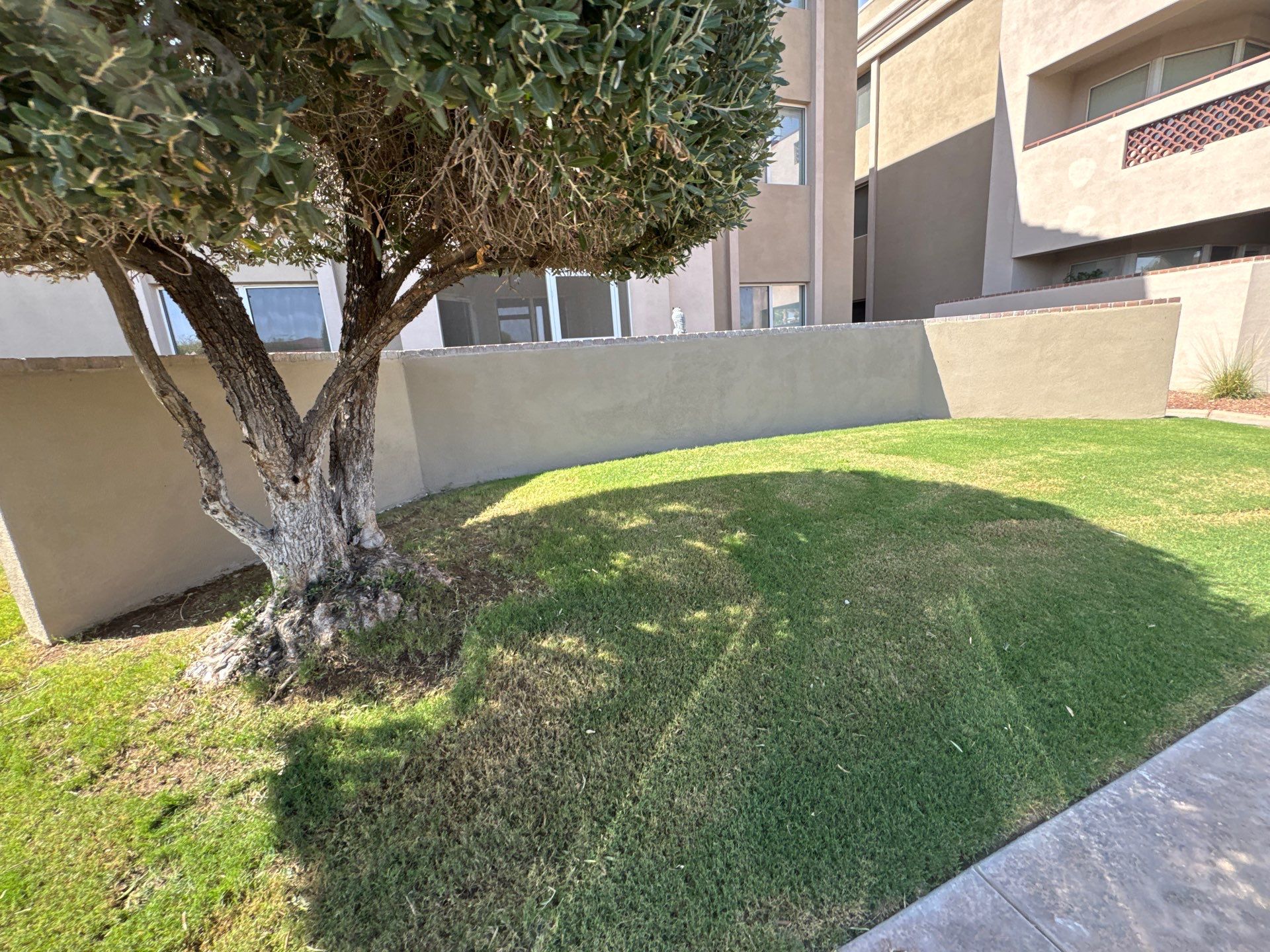 Project in Sun City by Crush Development Services LLC