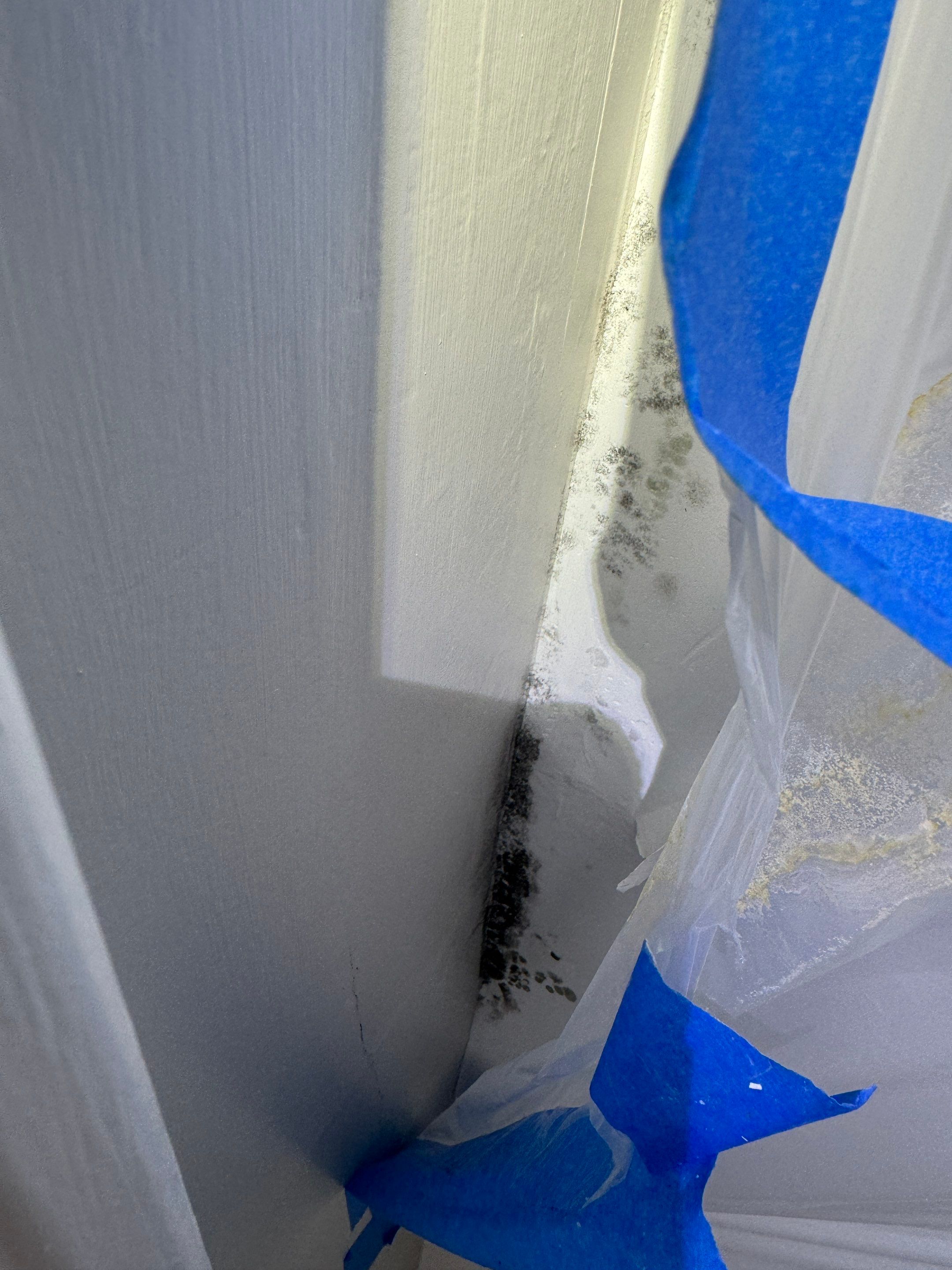Bedroom Mold Remediation by Home Guarantee, LLC