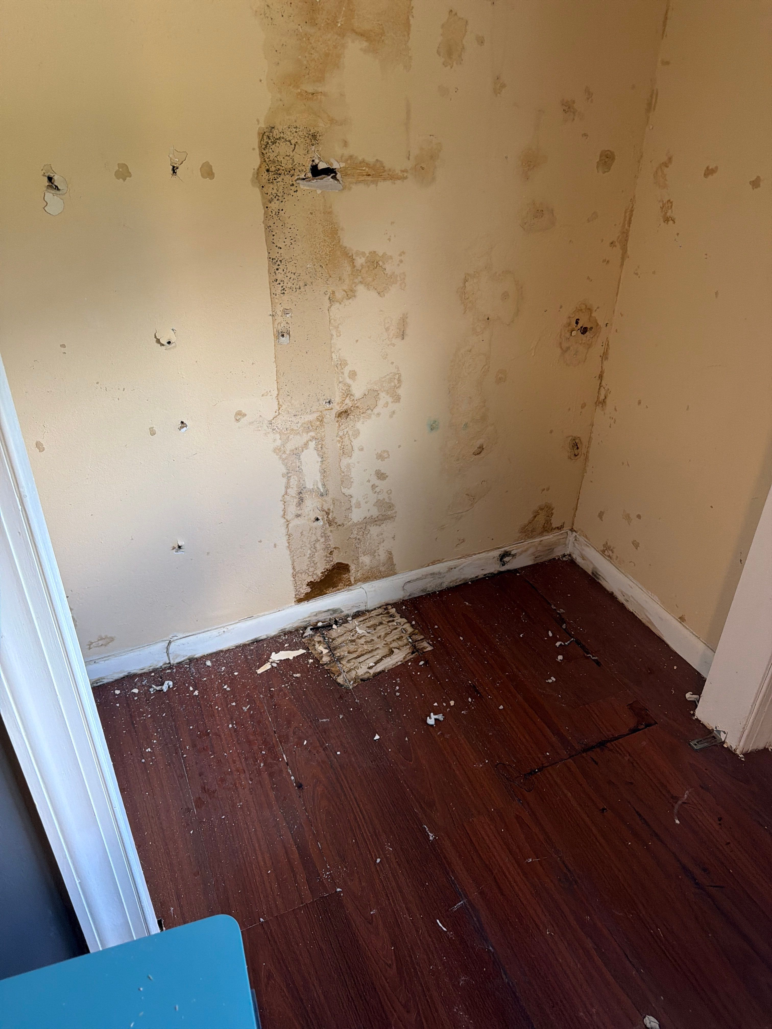 West Palm Beach Mold Remediation and Moisture Assessment by SuperClean 