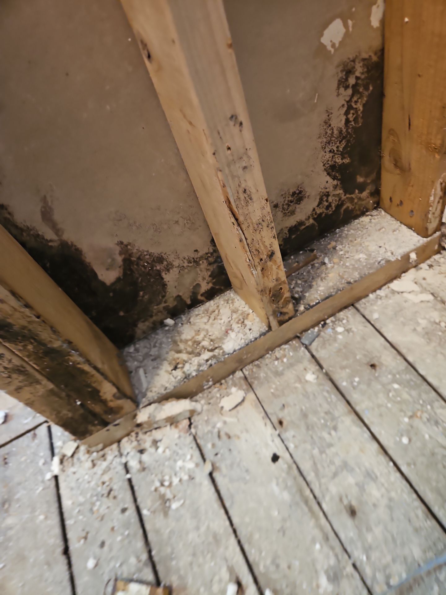 Home Remodel & TimberTech Deck Upgrade by Majesty Construction