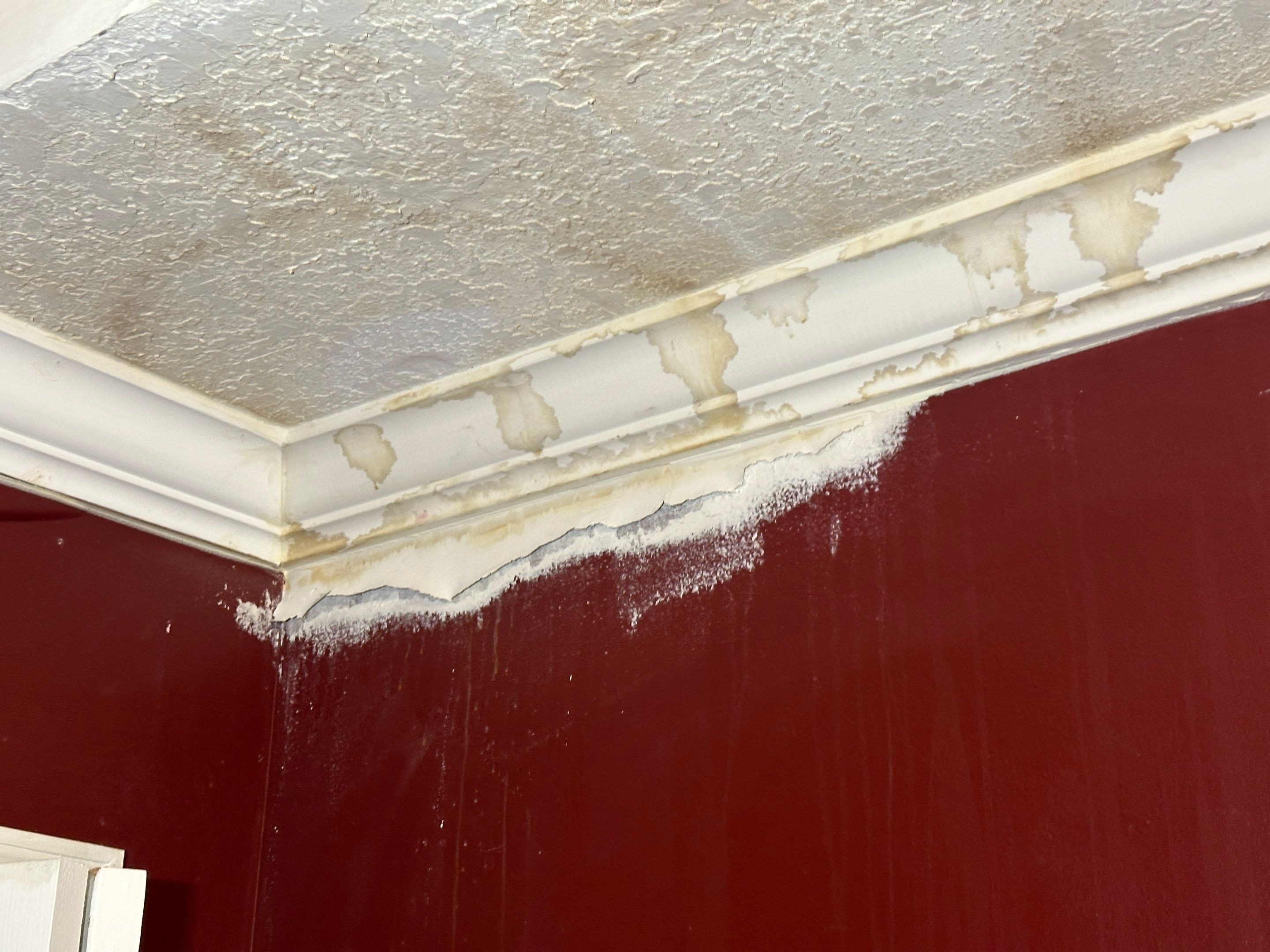 Water Damage Claim in West Palm Beach by FLAPA & KeyStone