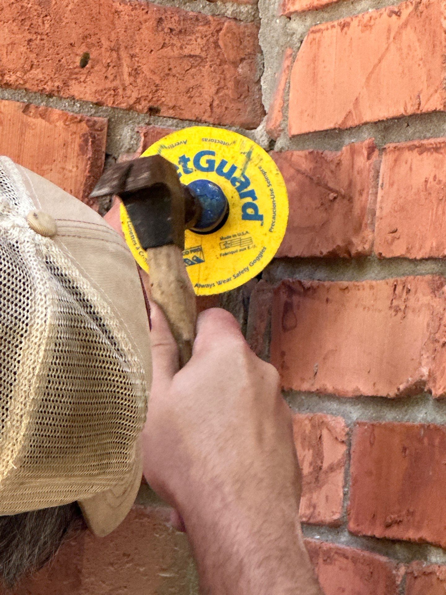 Bees Behind Bricks by Rockwall Honey Bee Company