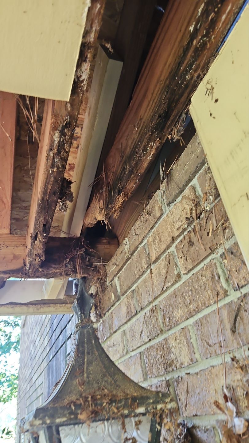 NEW ROOF WITH TRIM RESTORATION by Indigo State Roofing