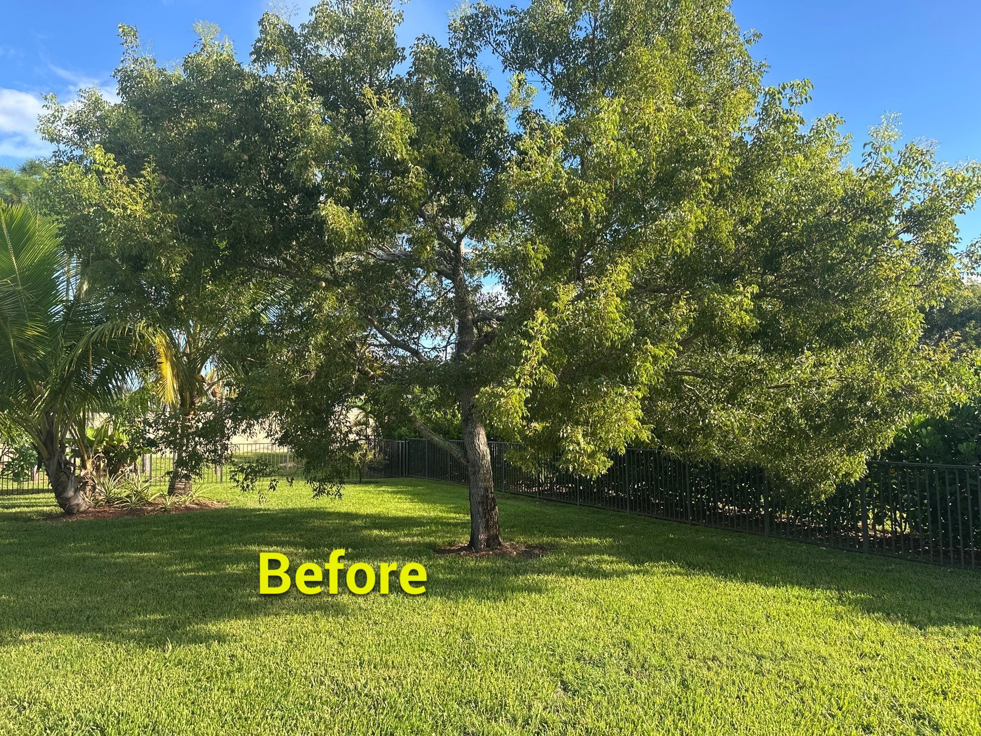 From Overgrown to Picture-Perfect - Stuart Refresh by Alpha Zeta Enterprises Inc