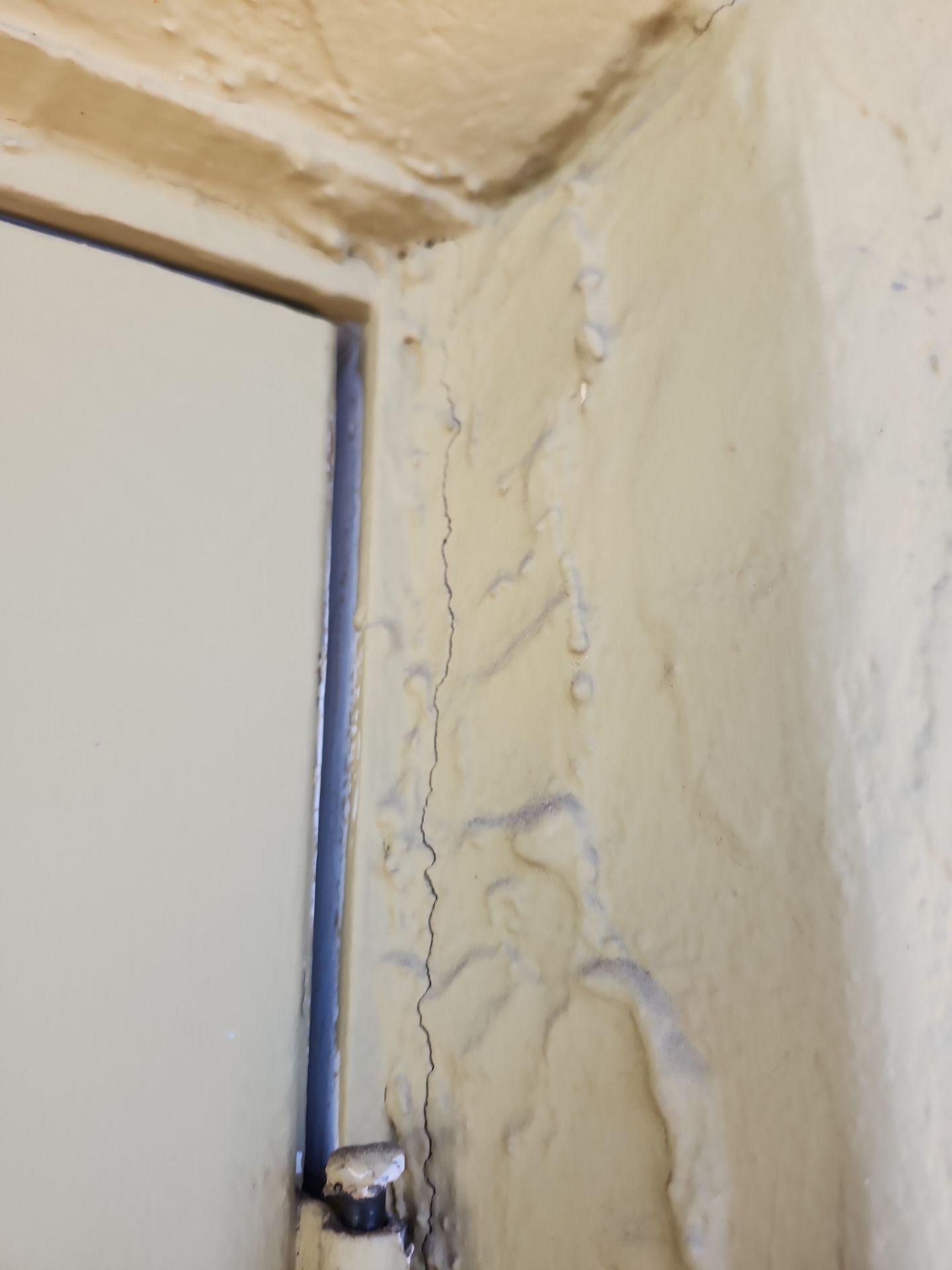 Project in Sarasota by Sunbelt Home Solutions