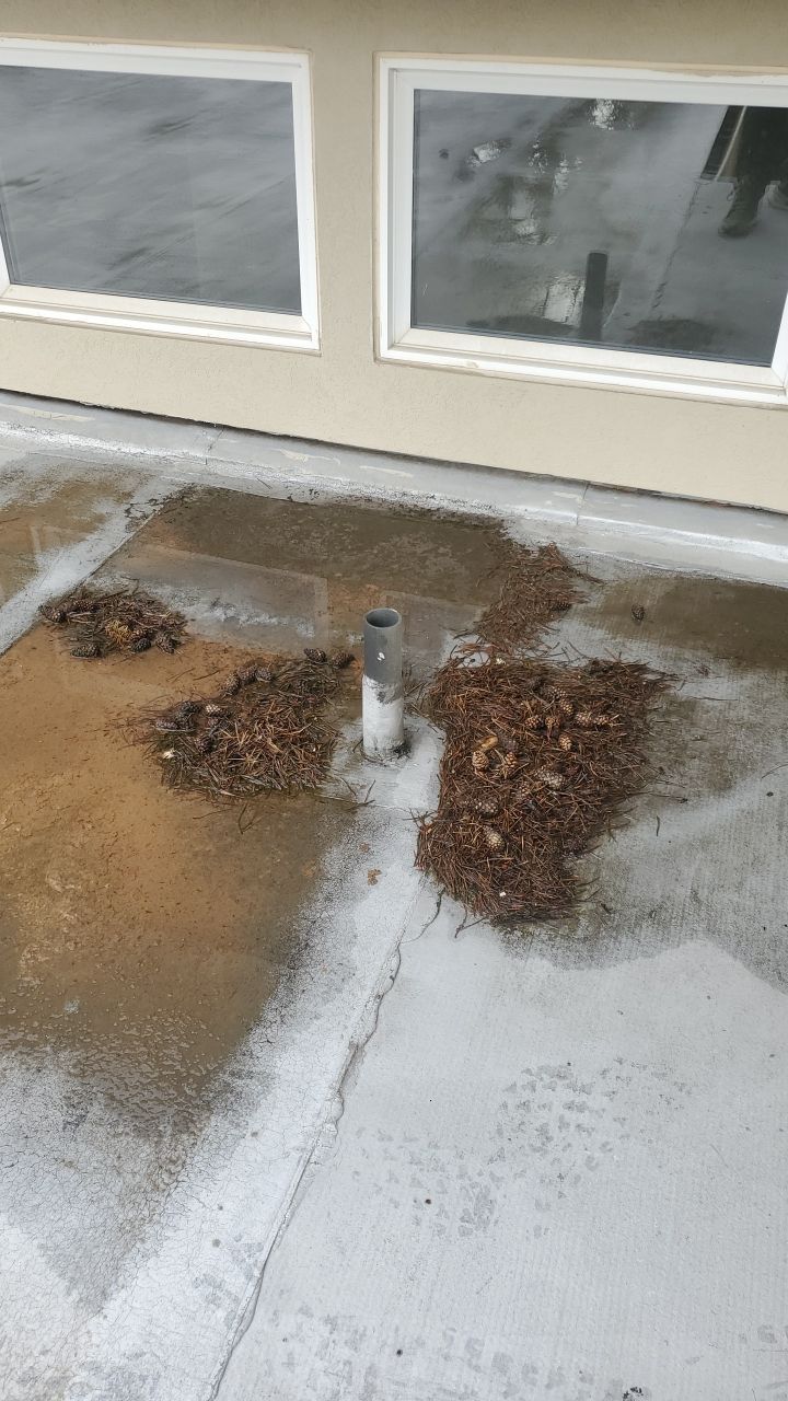 Gutter Cleaning using Moderate Pressure by Willamette Outdoor Wash LLC