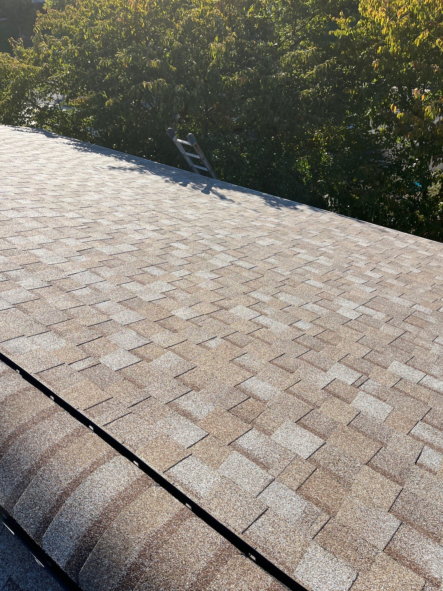 Sterling: Residential Roof Replacement with CertainTeed Landmark Pro Designer Shingles in Max Def Mojave Tan by RM Banning, Inc.