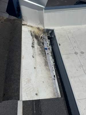 Project in Emeryville